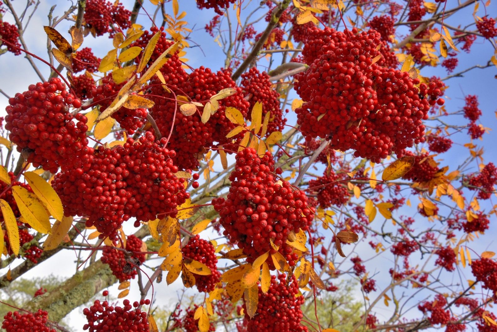 Valokuvaaja: Reijo Juurinen