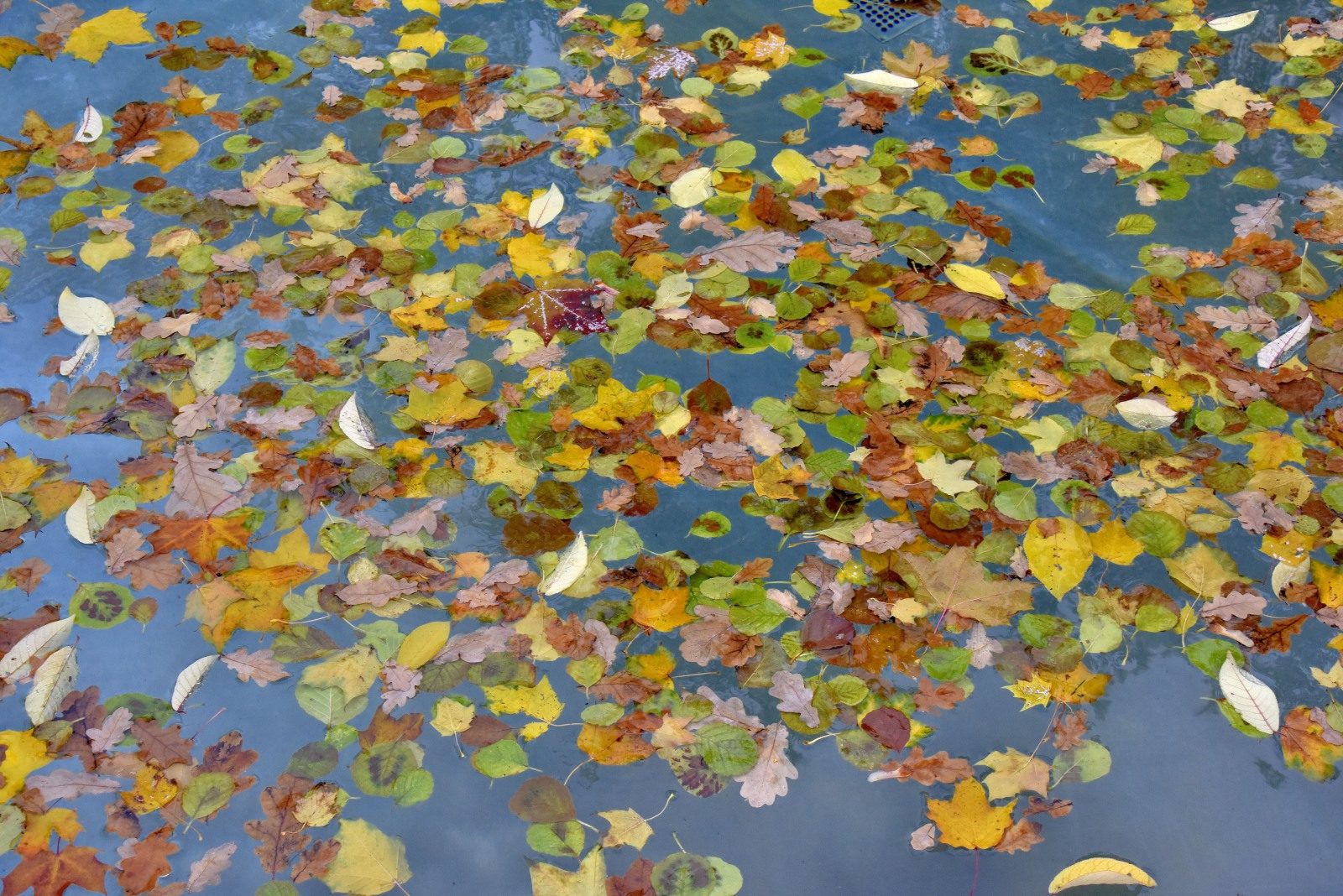 Valokuvaaja: Reijo Juurinen