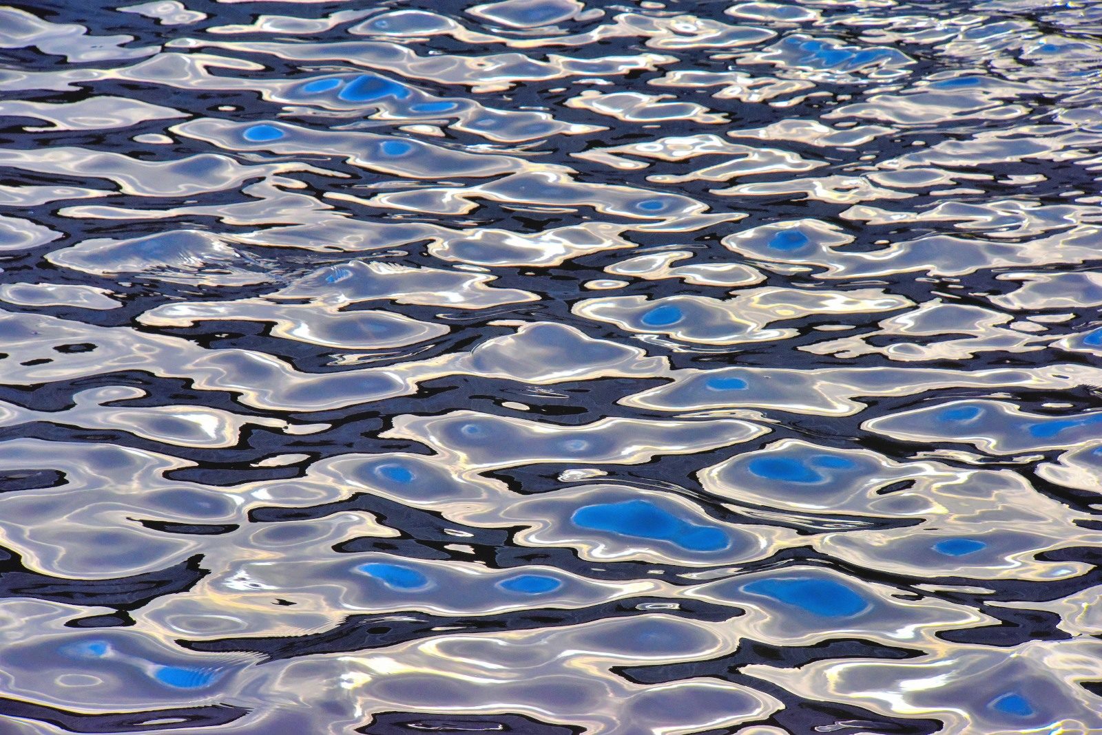 Valokuvaaja: Reijo Juurinen