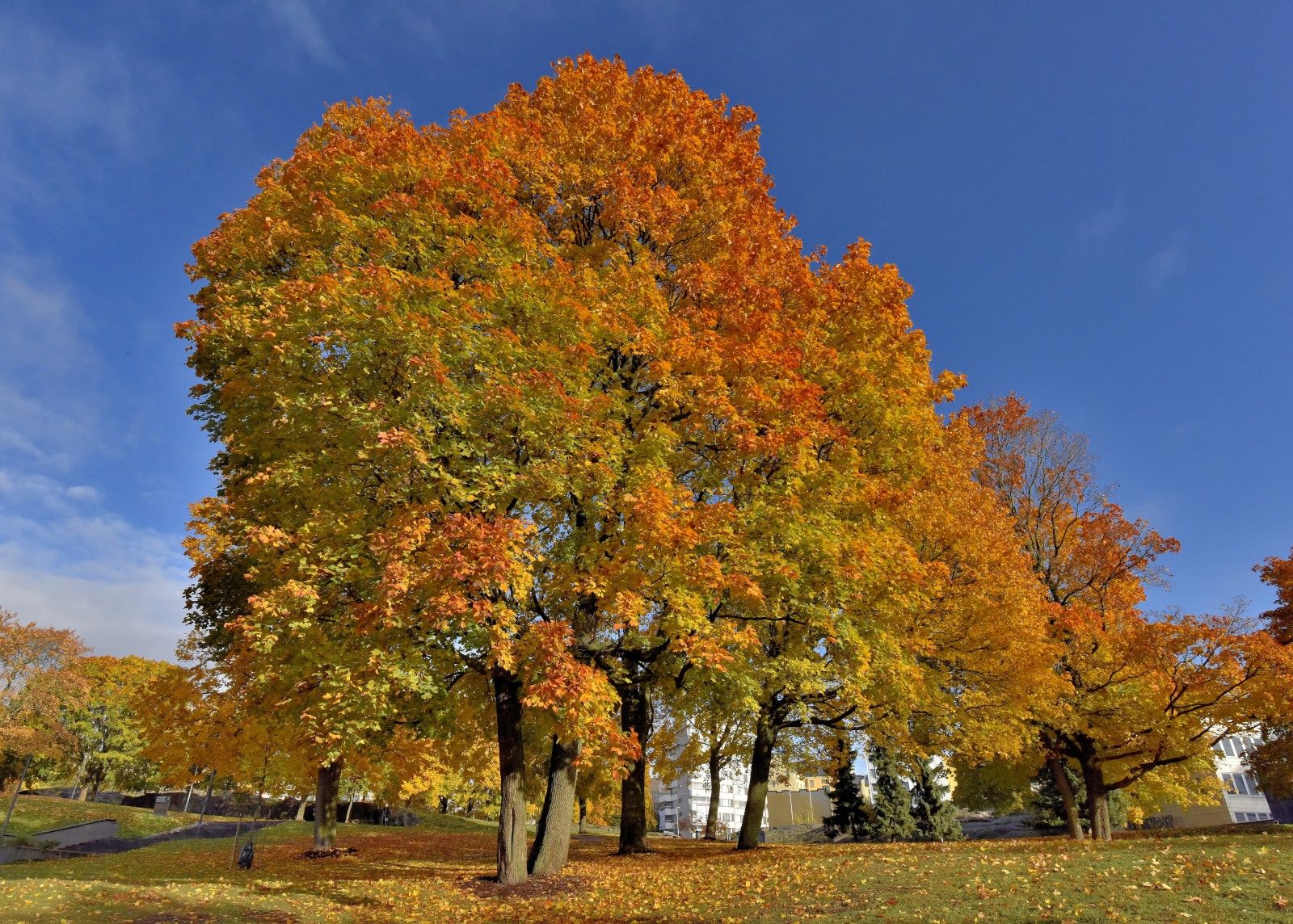 Valokuvaaja: Reijo Juurinen