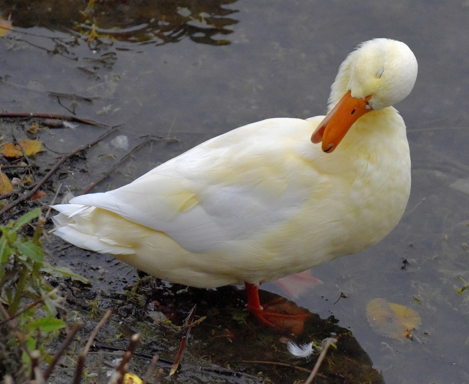 Valokuvaaja: Reijo Juurinen