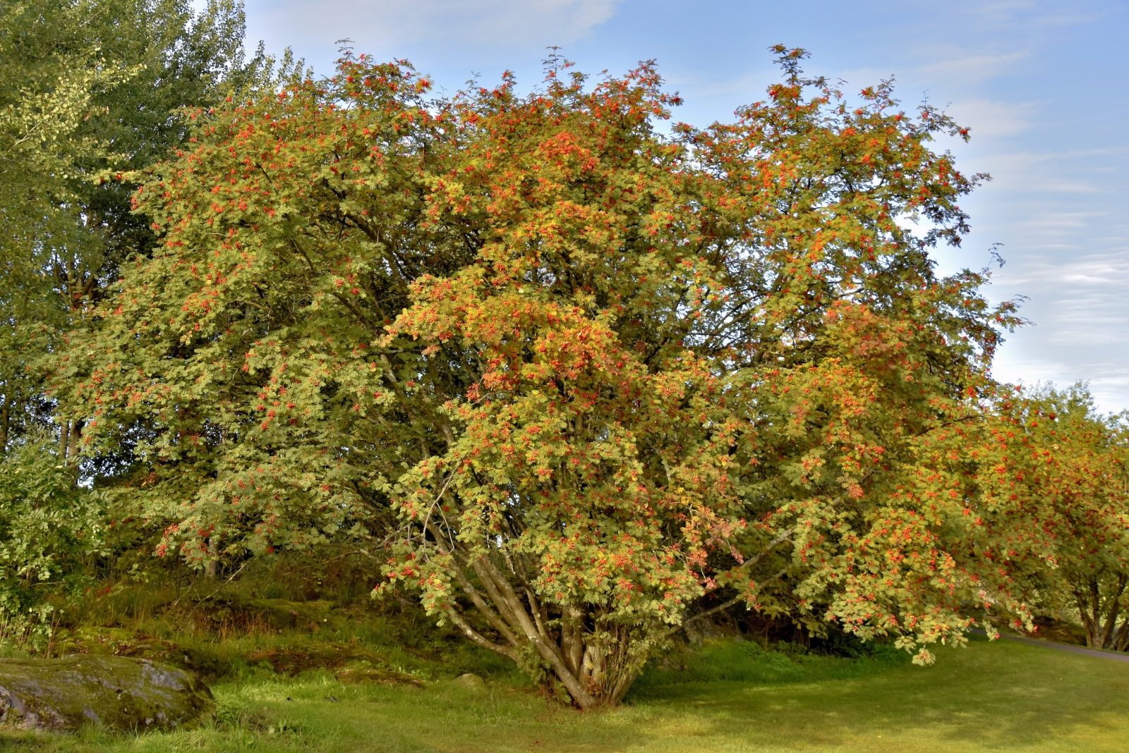 Valokuvaaja: Reijo Juurinen