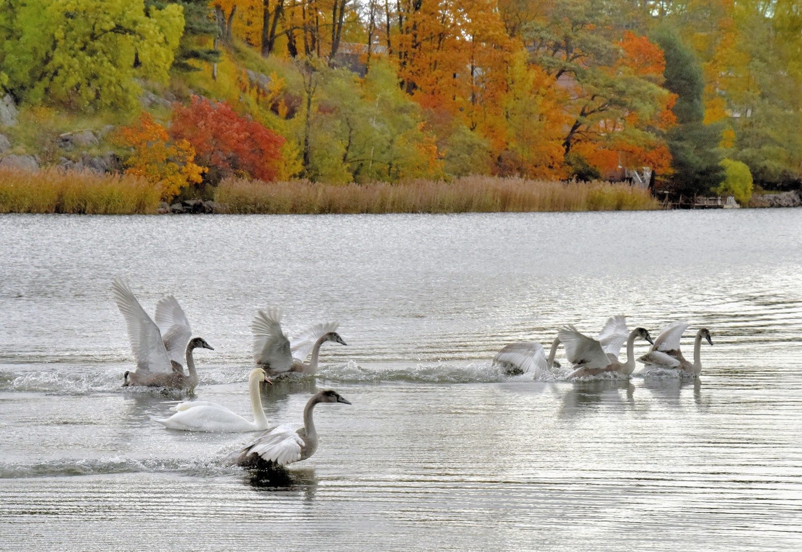 Valokuvaaja: Reijo Juurinen