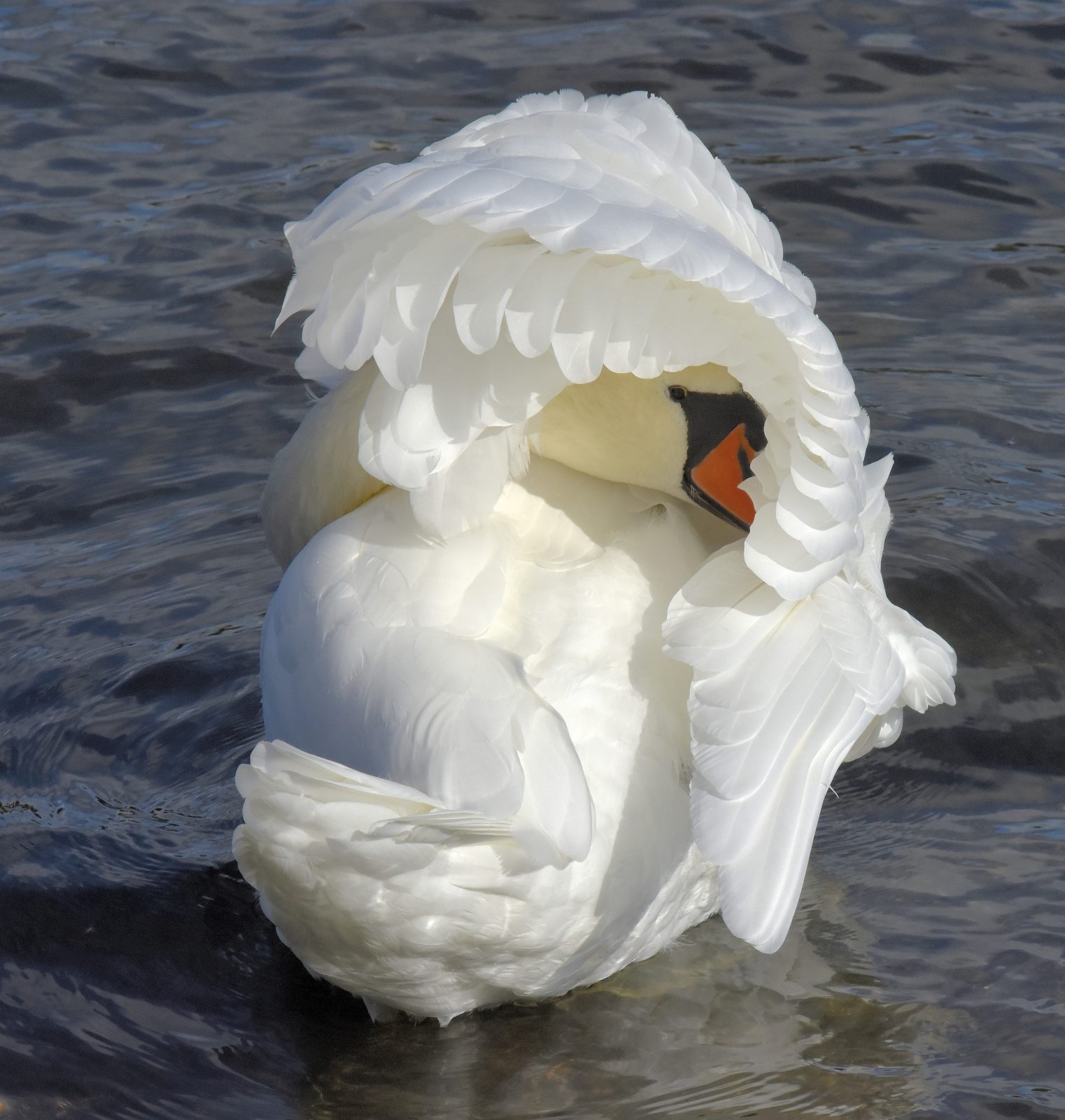 Valokuvaaja: Reijo Juurinen