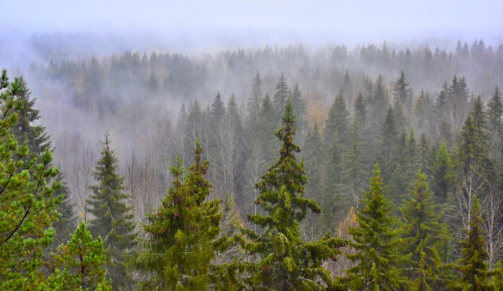 Valokuvaaja: Reijo Juurinen