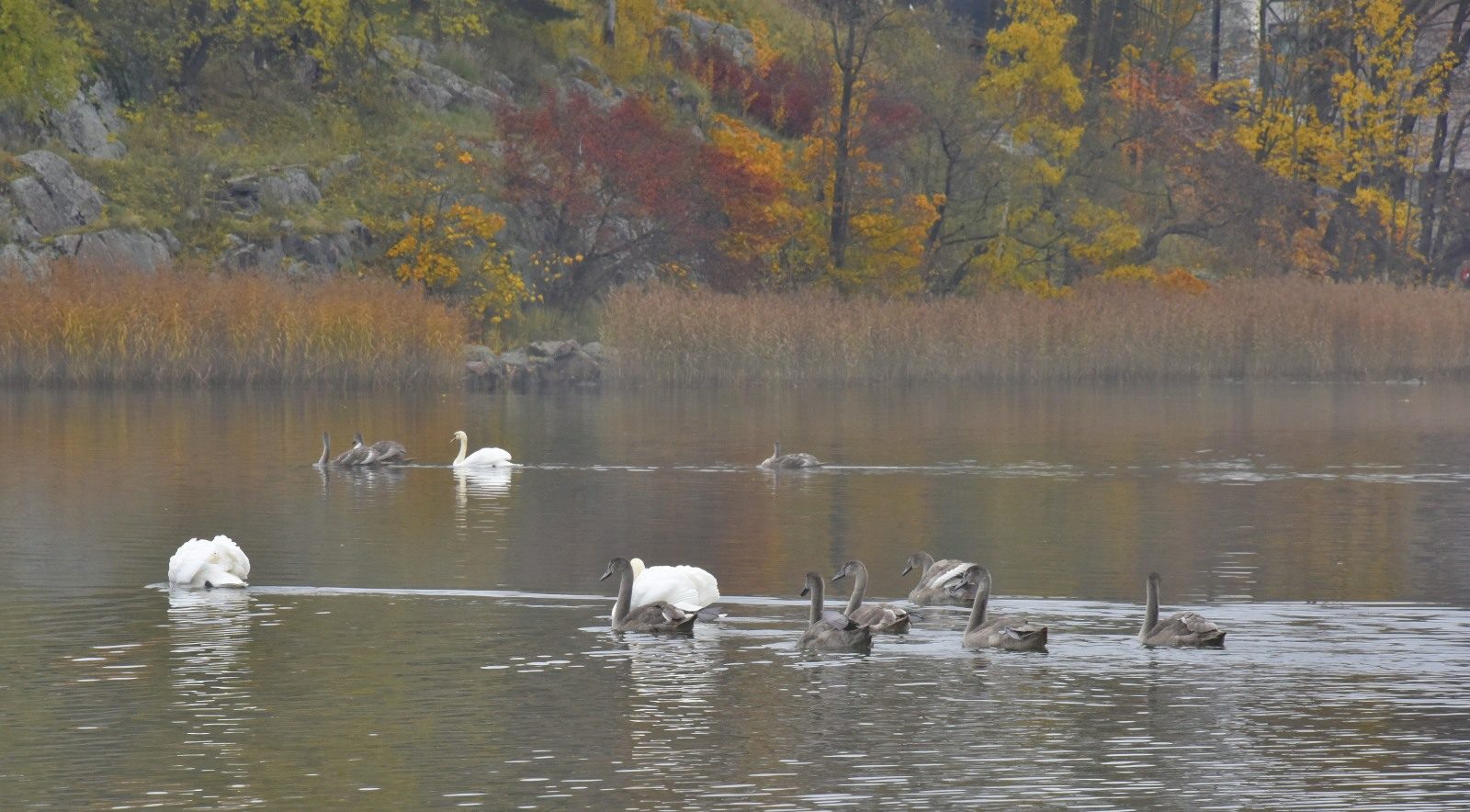 Valokuvaaja: Reijo Juurinen