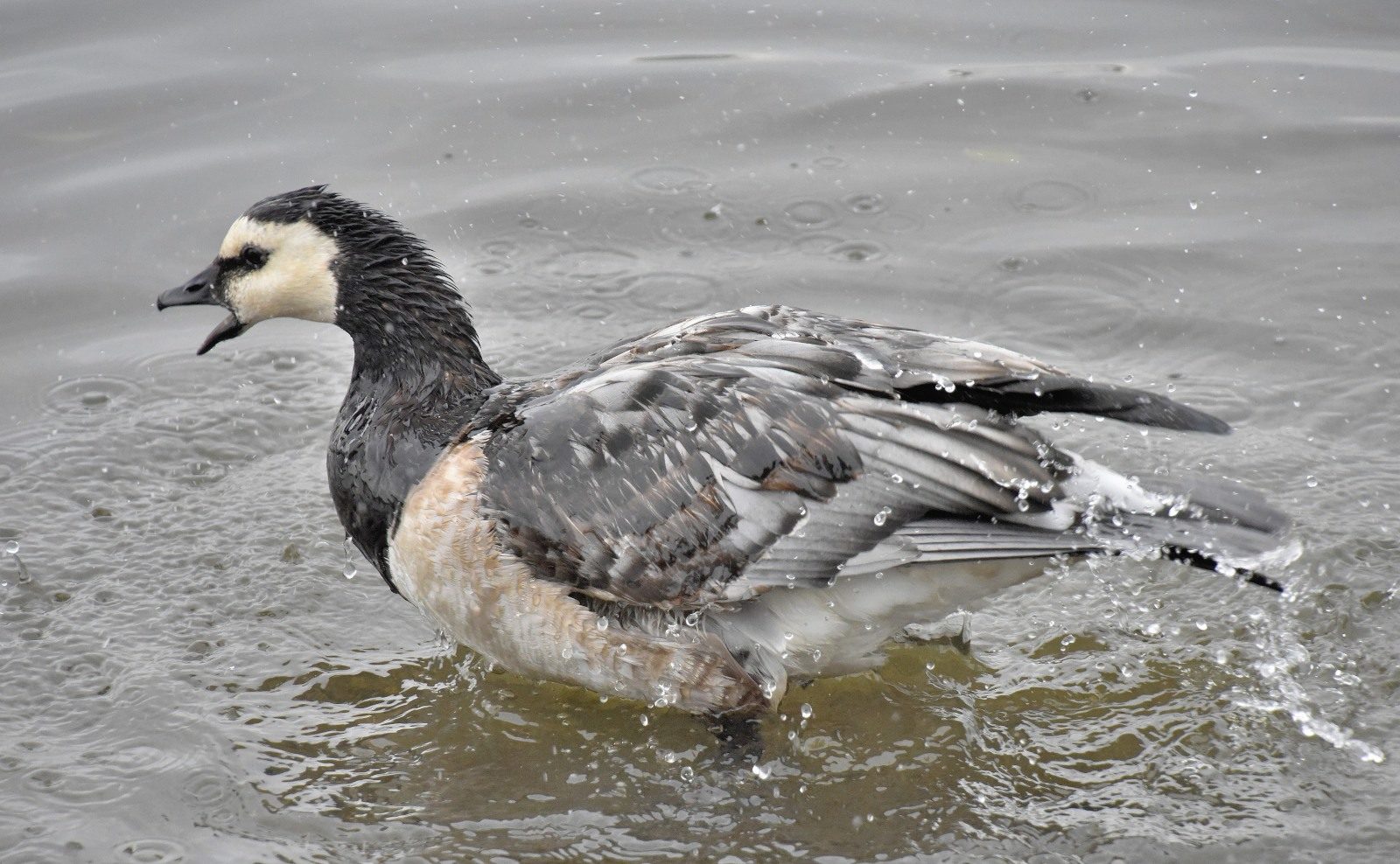 Valokuvaaja: Reijo Juurinen
