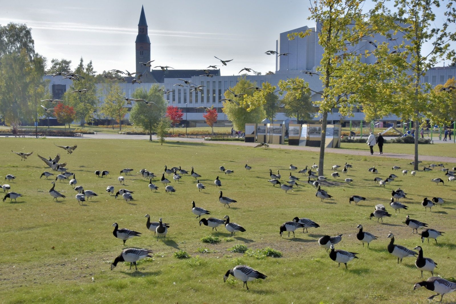 Valokuvaaja: Reijo Juurinen