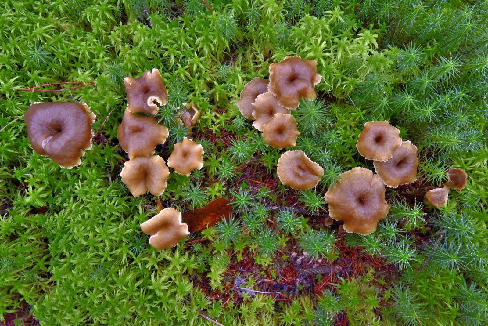 Valokuvaaja: Reijo Juurinen