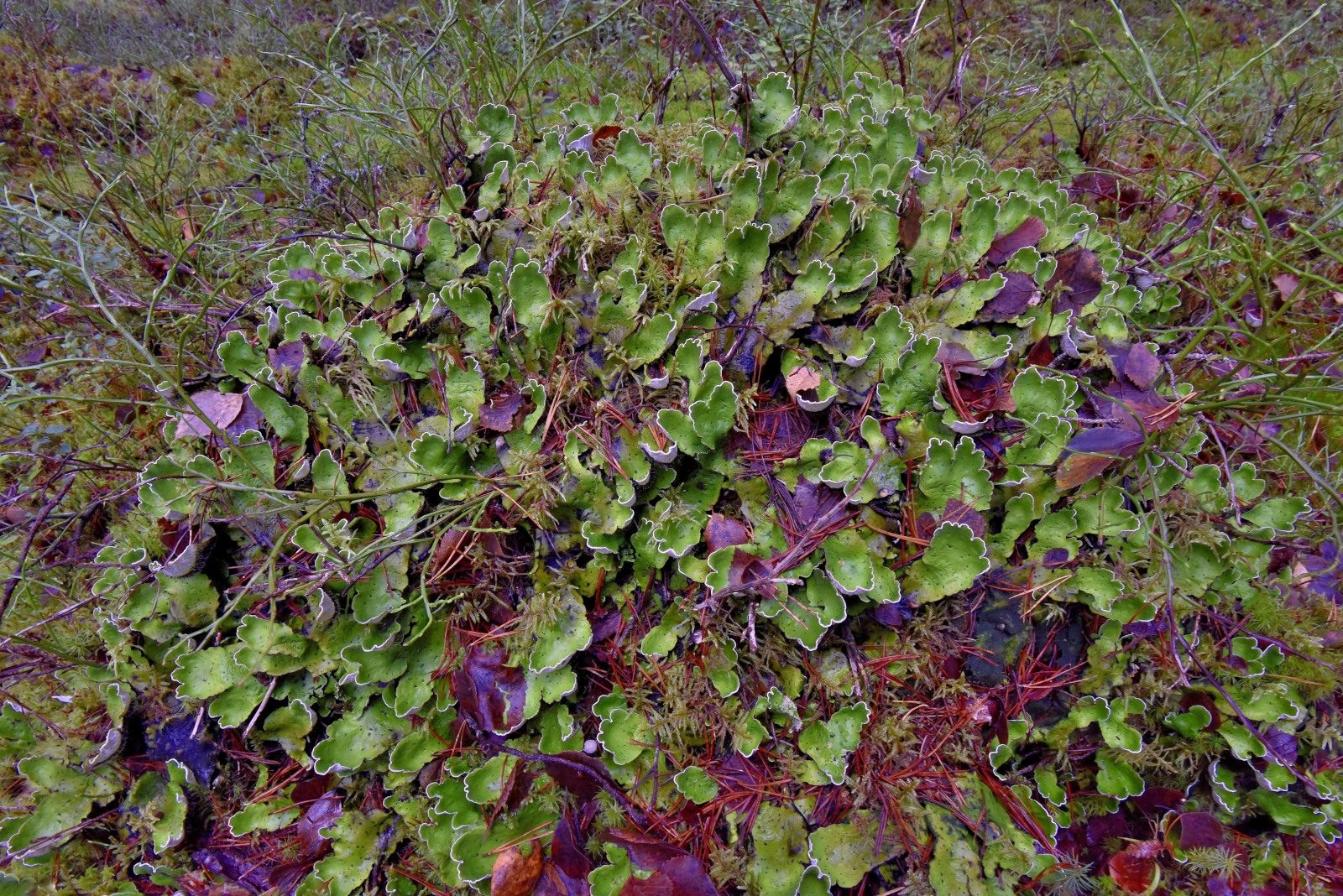 Valokuvaaja: Reijo Juurinen