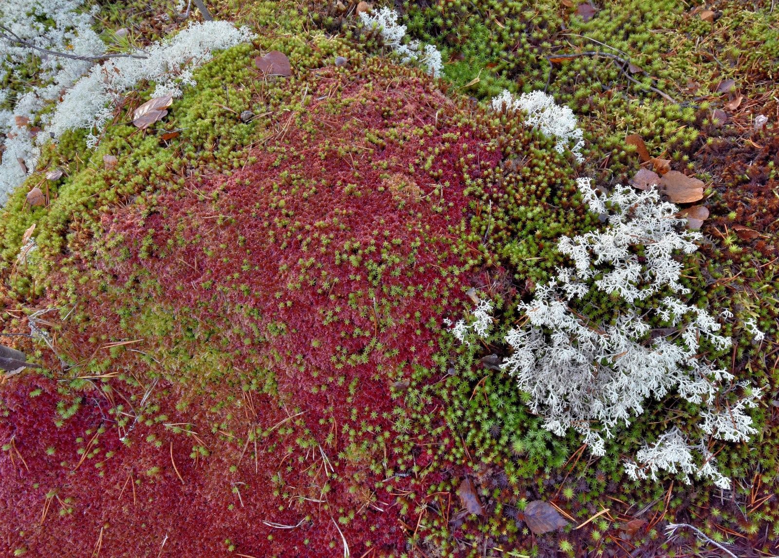 Valokuvaaja: Reijo Juurinen