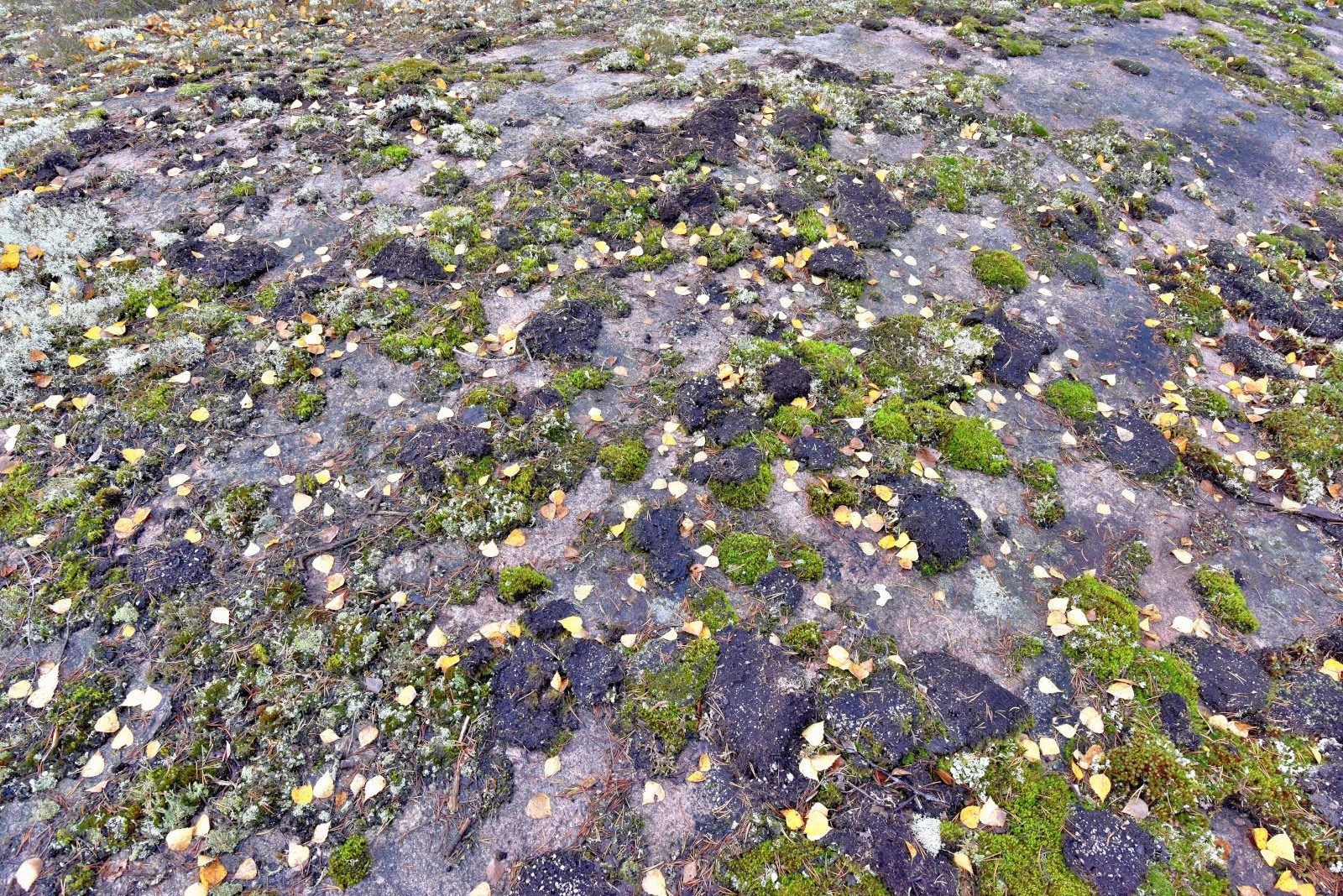 Valokuvaaja: Reijo Juurinen