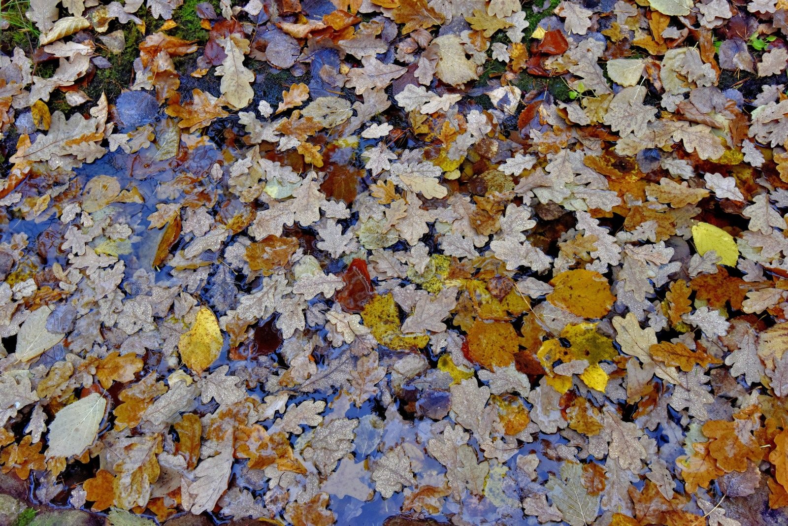 Valokuvaaja: Reijo Juurinen