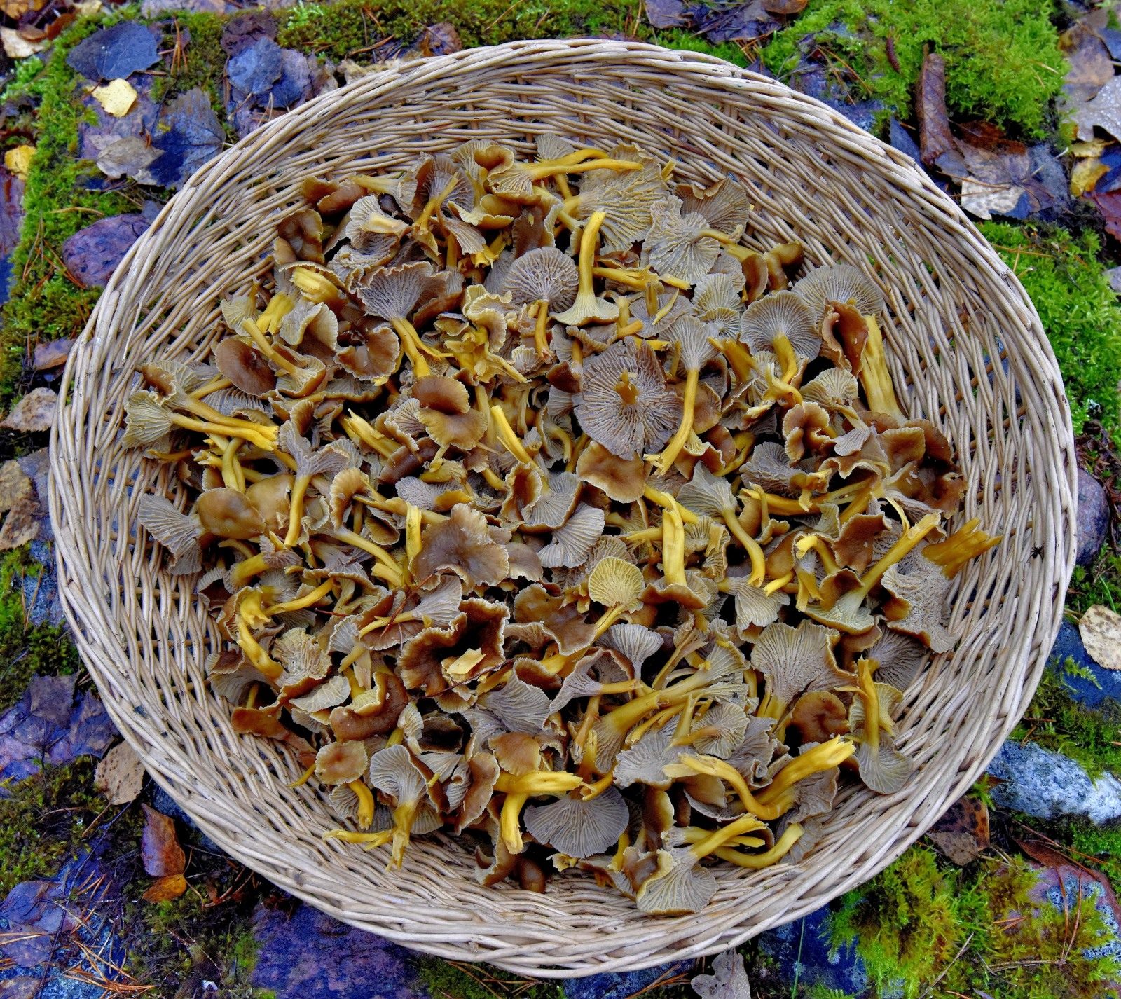 Valokuvaaja: Reijo Juurinen