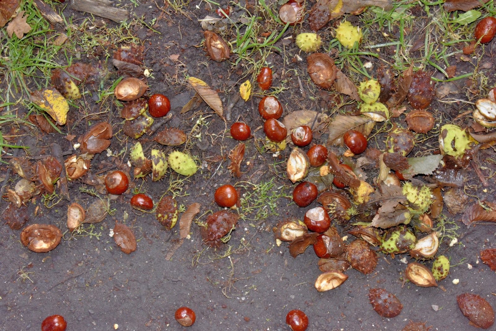 Valokuvaaja: Reijo Juurinen