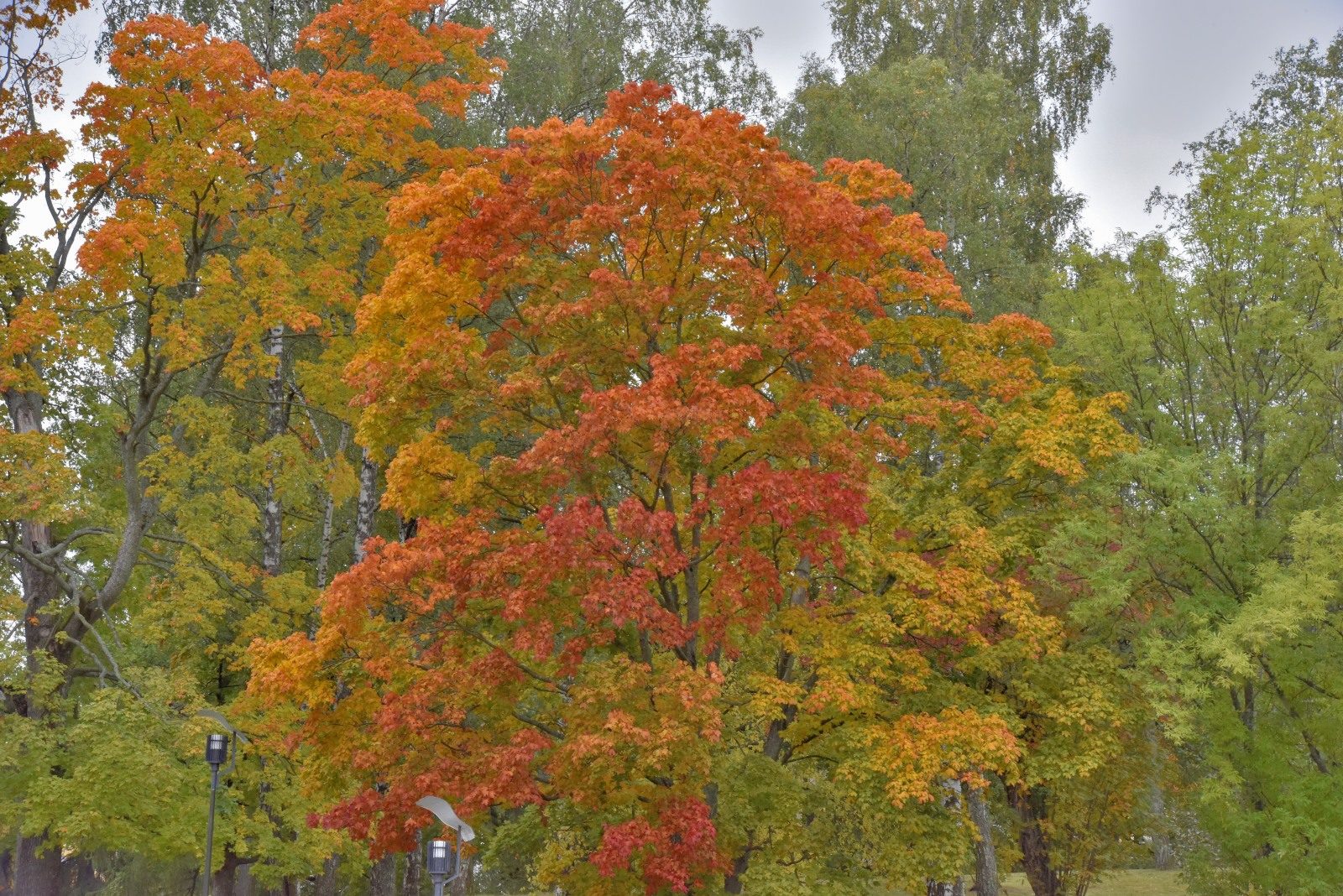 Valokuvaaja: Reijo Juurinen Valokuvaaja: Reijo Juurinen