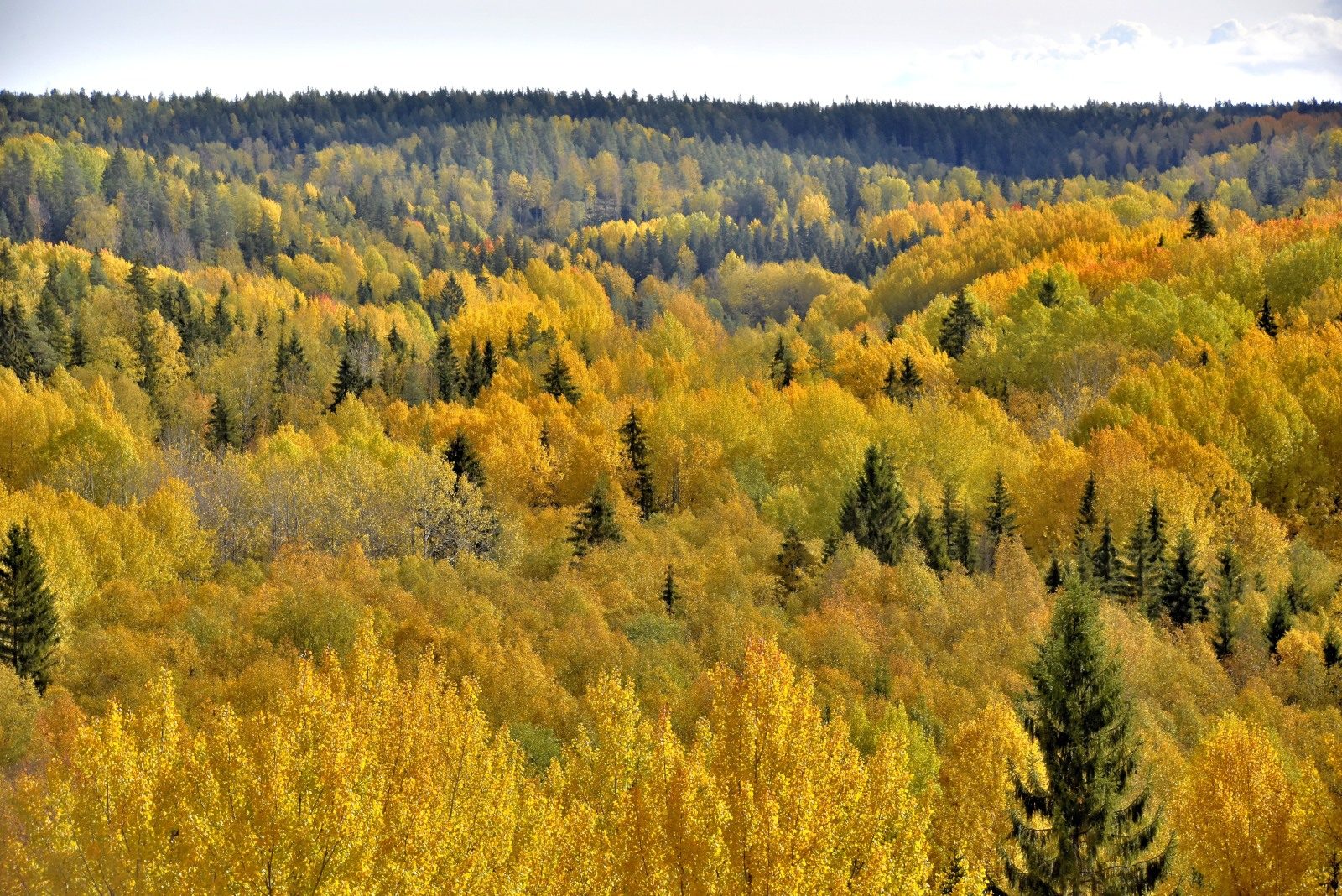 Valokuvaaja: Reijo Juurinen