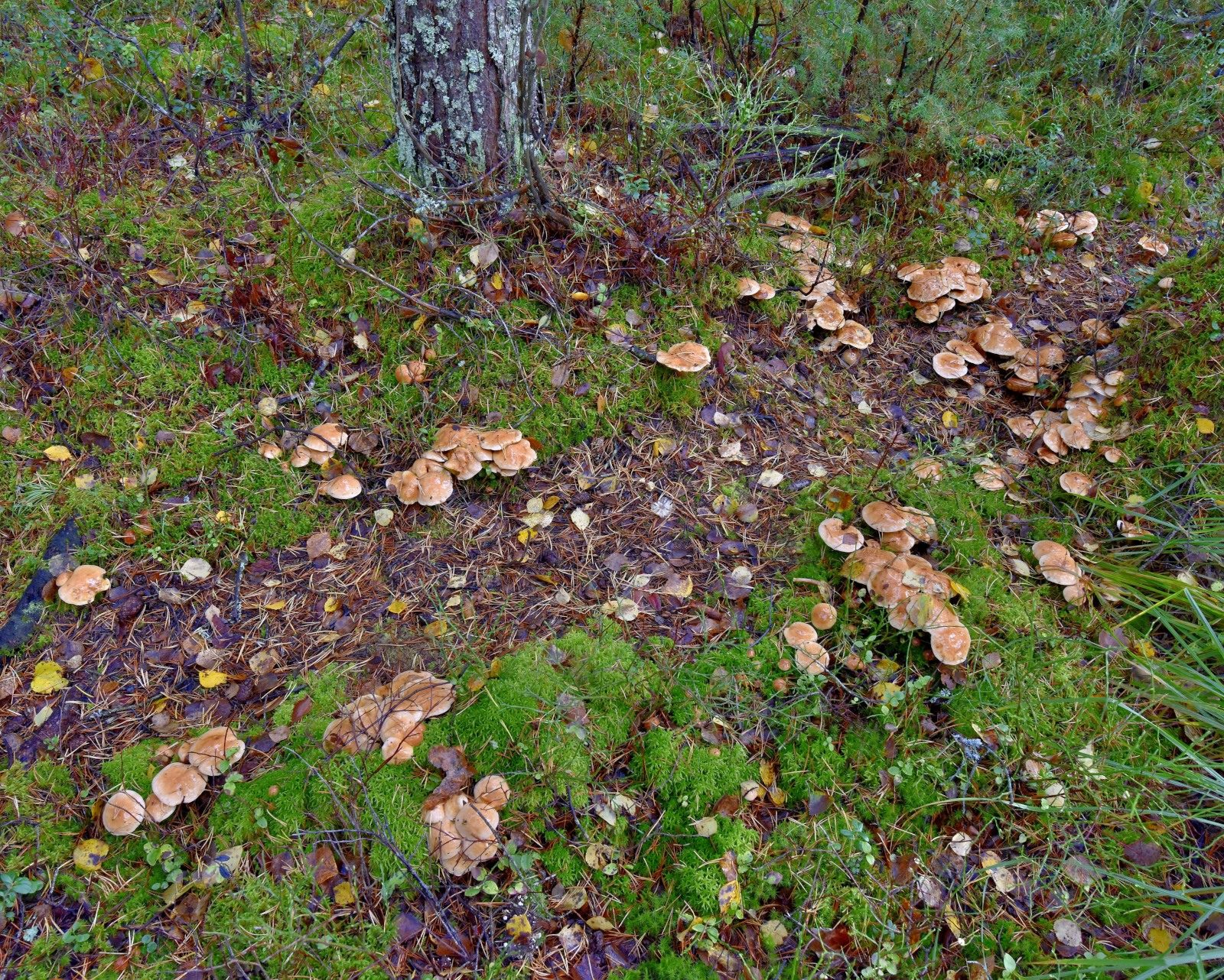 Valokuvaaja: Reijo Juurinen