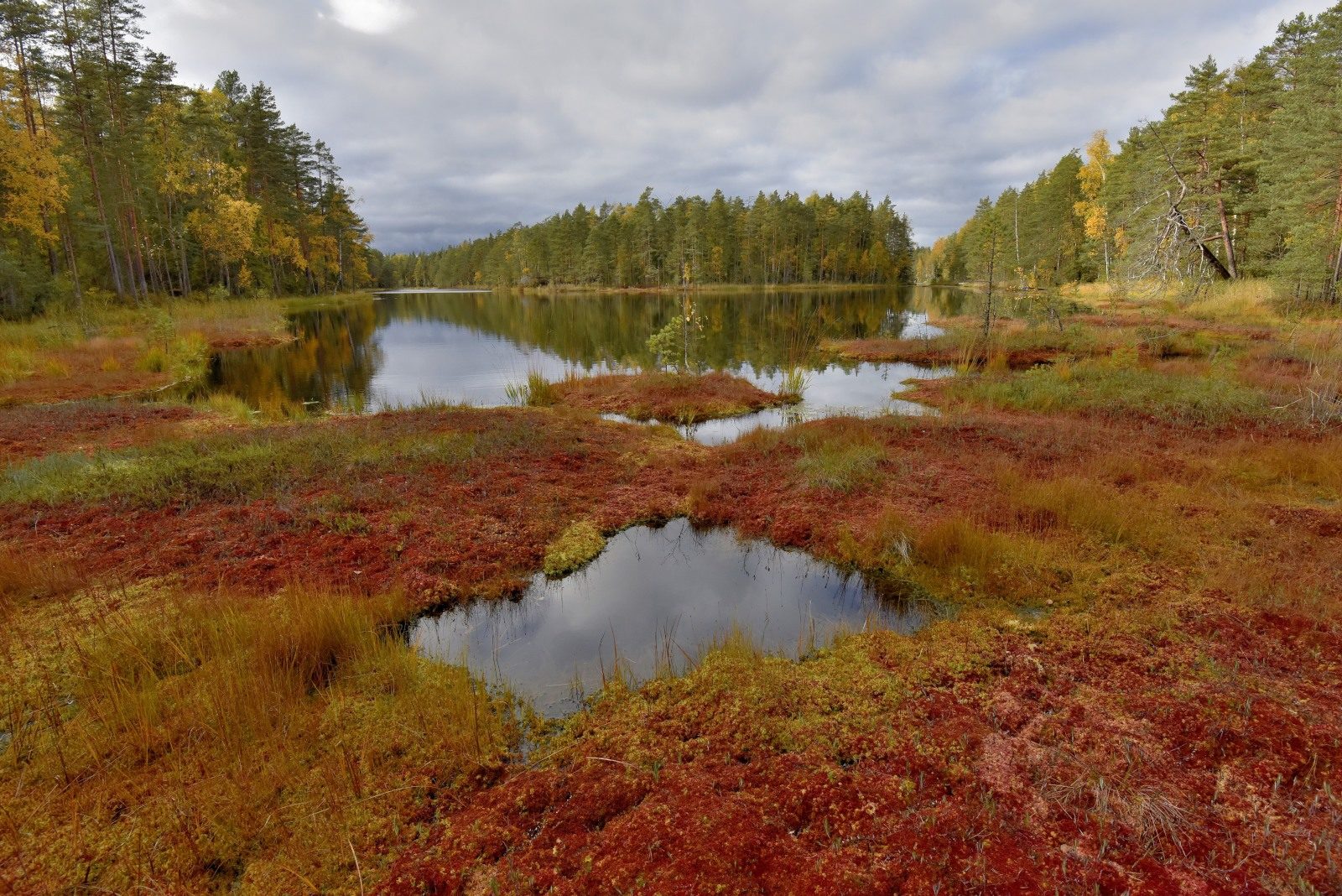 Valokuvaaja: Reijo Juurinen