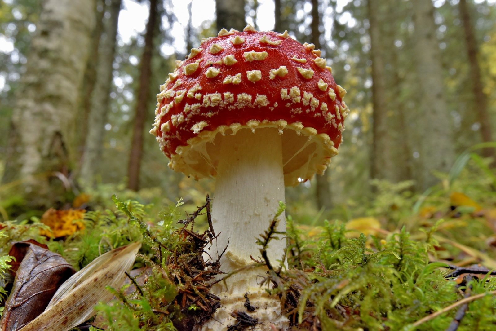 Valokuvaaja: Reijo Juurinen