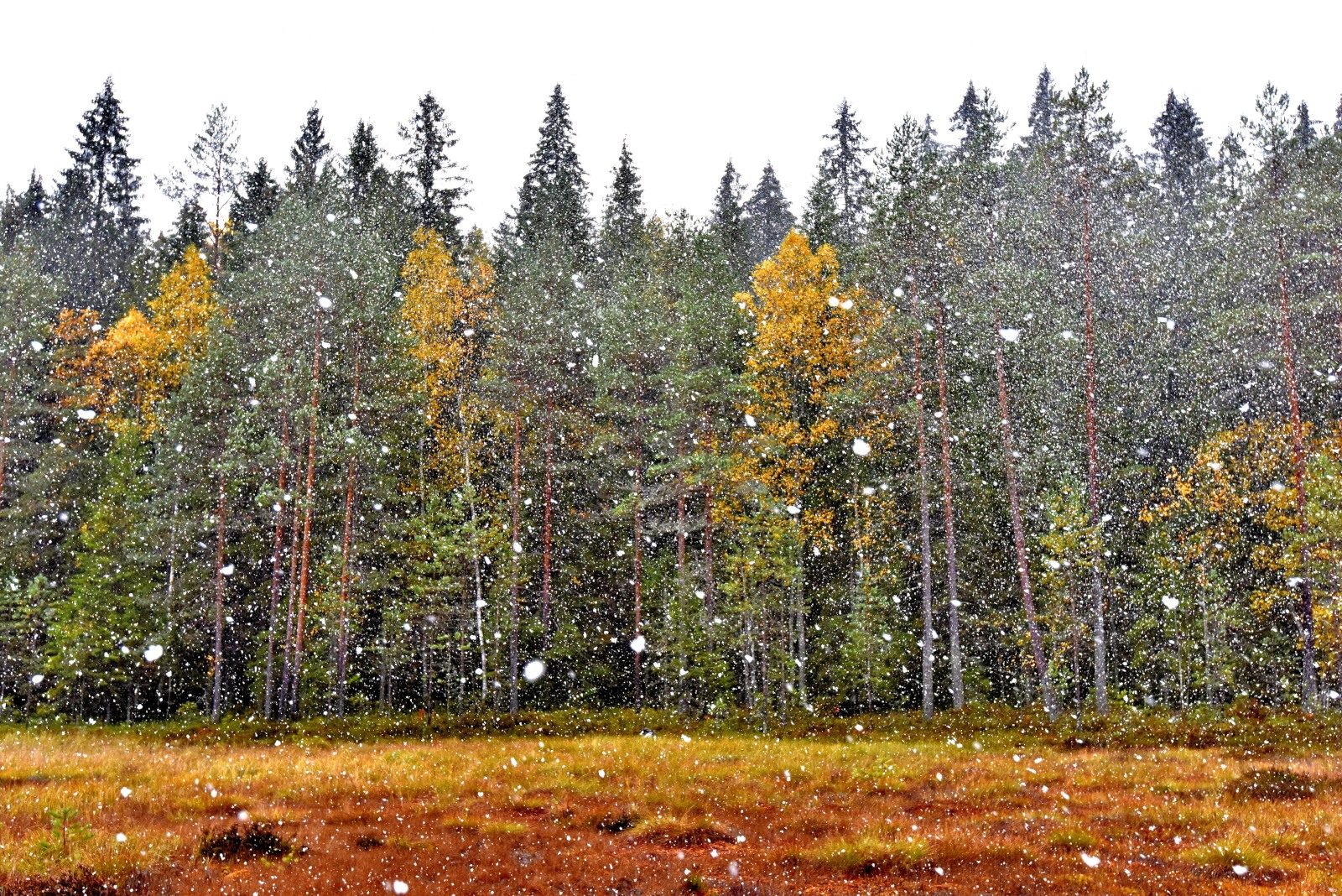 Valokuvaaja: Reijo Juurinen
