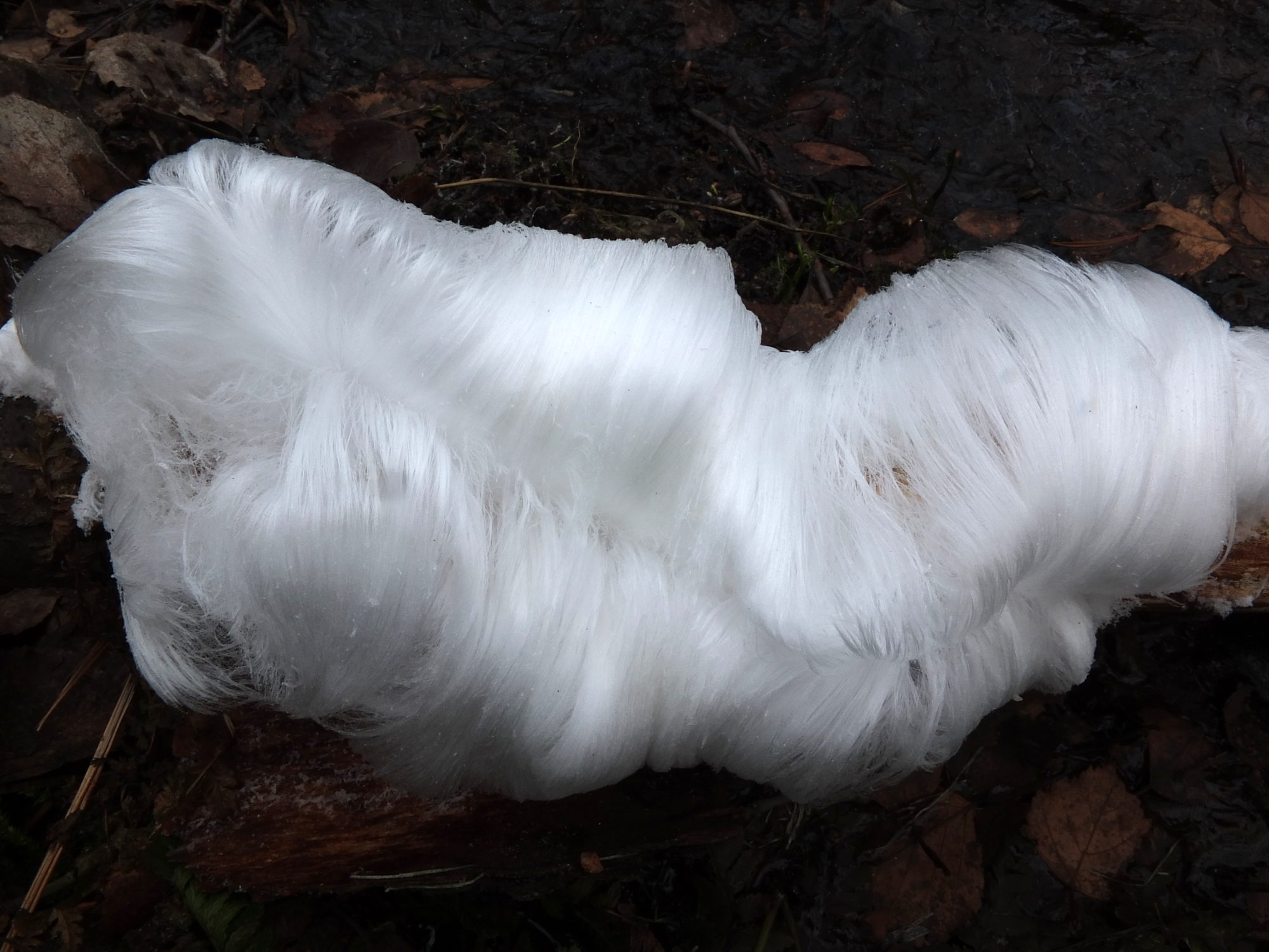 Valokuvaaja: Hannu. Rasiranta