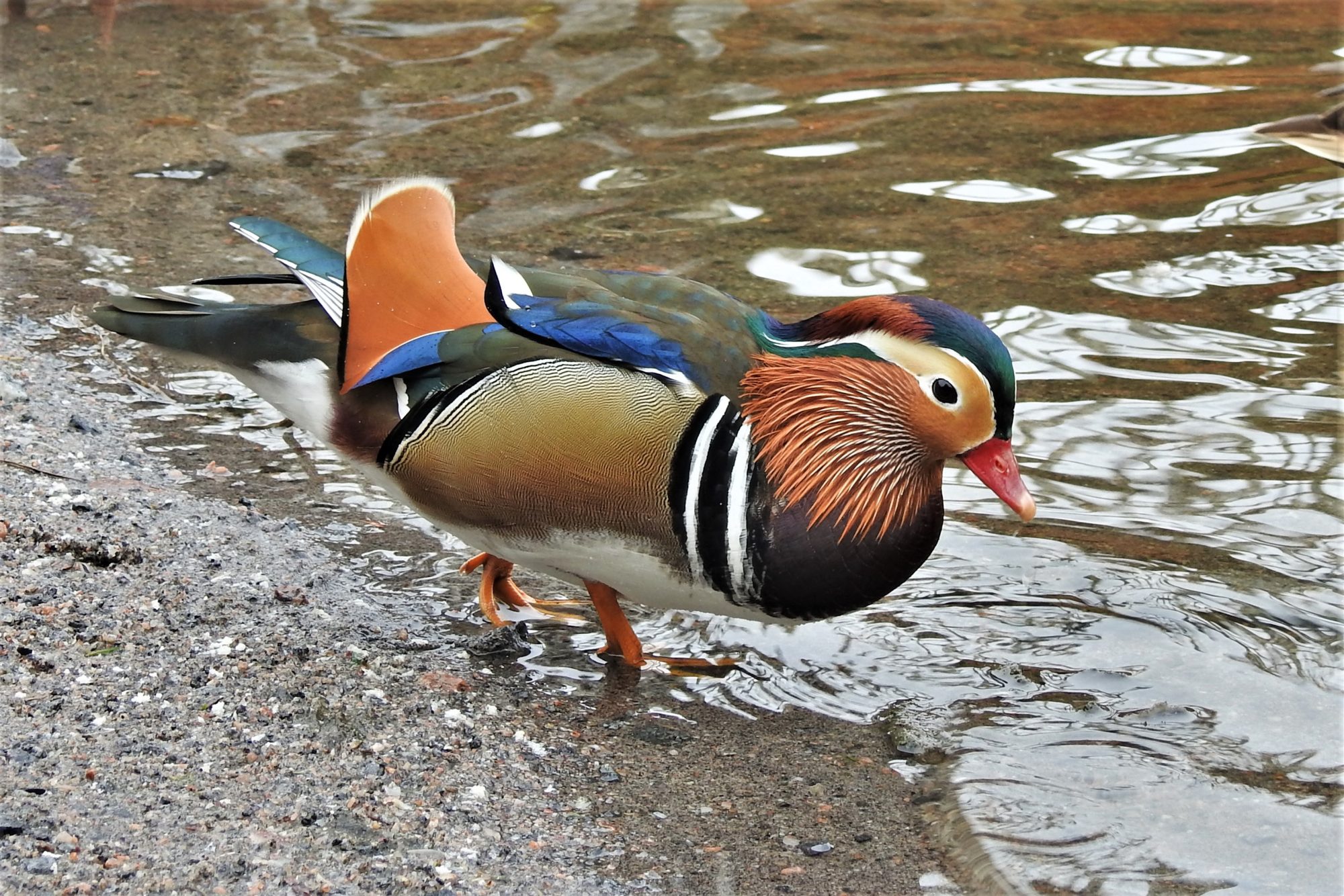 Valokuvaaja: Maarit Siitonen