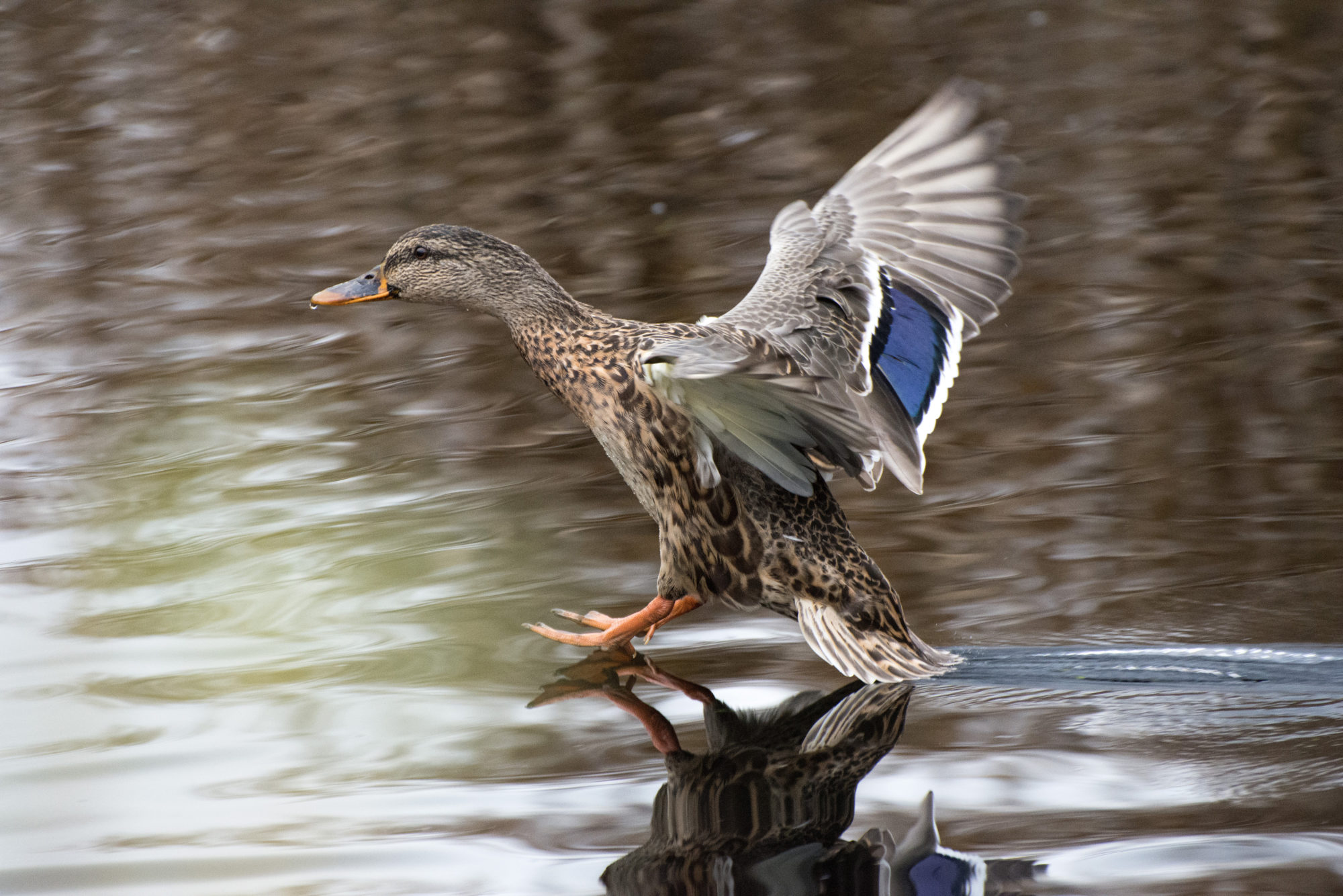Valokuvaaja: Paavo Siukonen Valokuvaaja: Paavo Siukonen