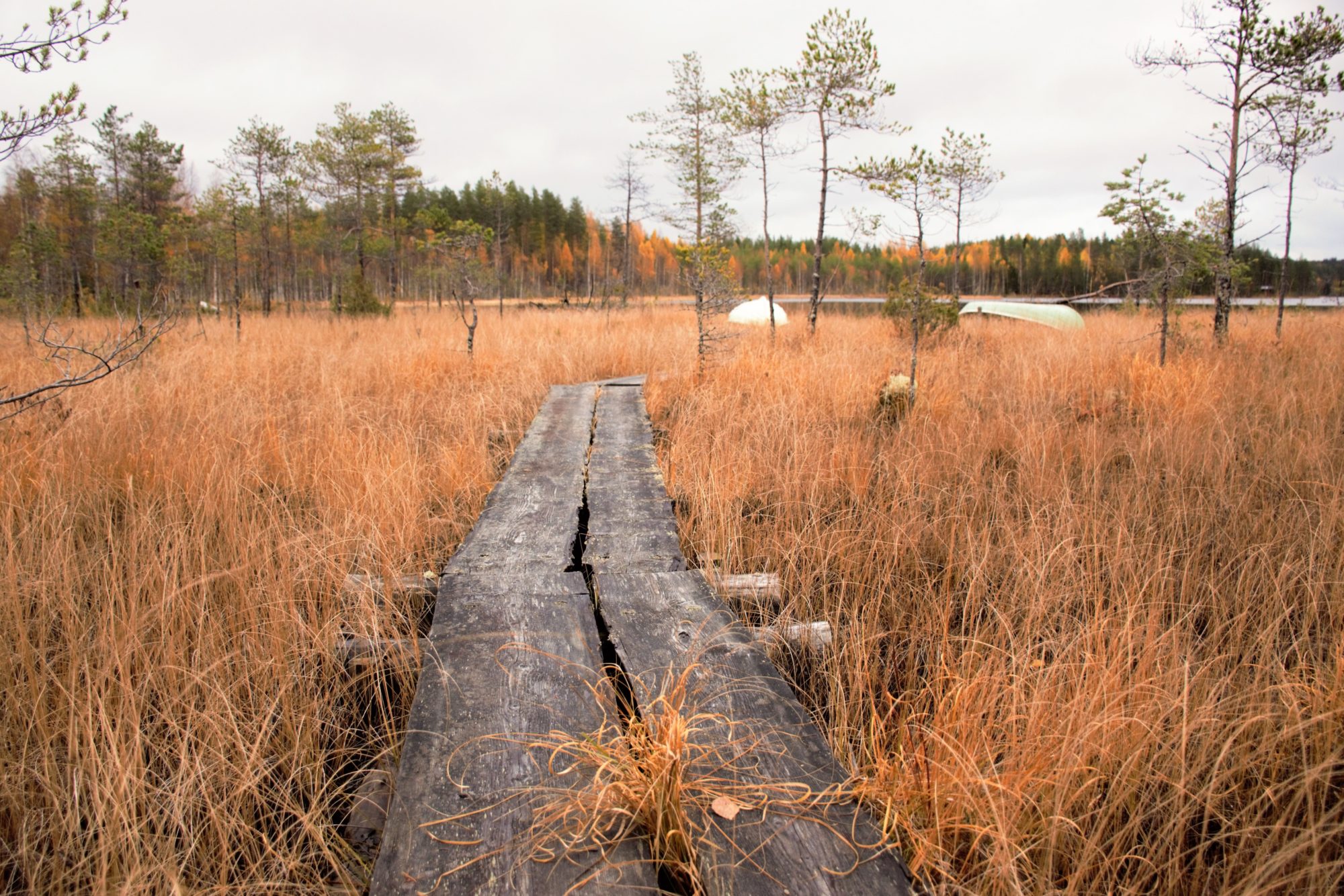 Valokuvaaja: Leena Rissanen