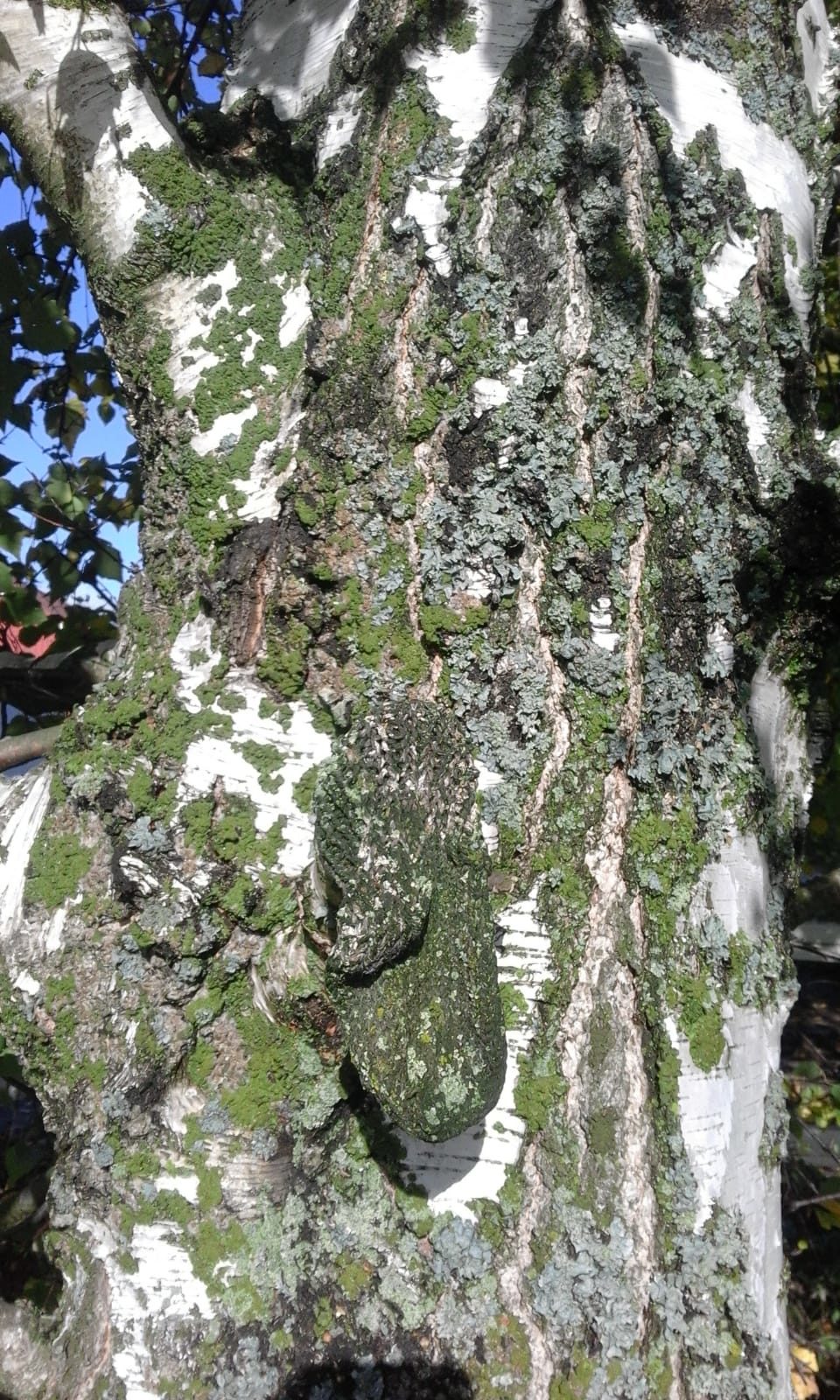 Valokuvaaja: Maria Kuortti-Katris