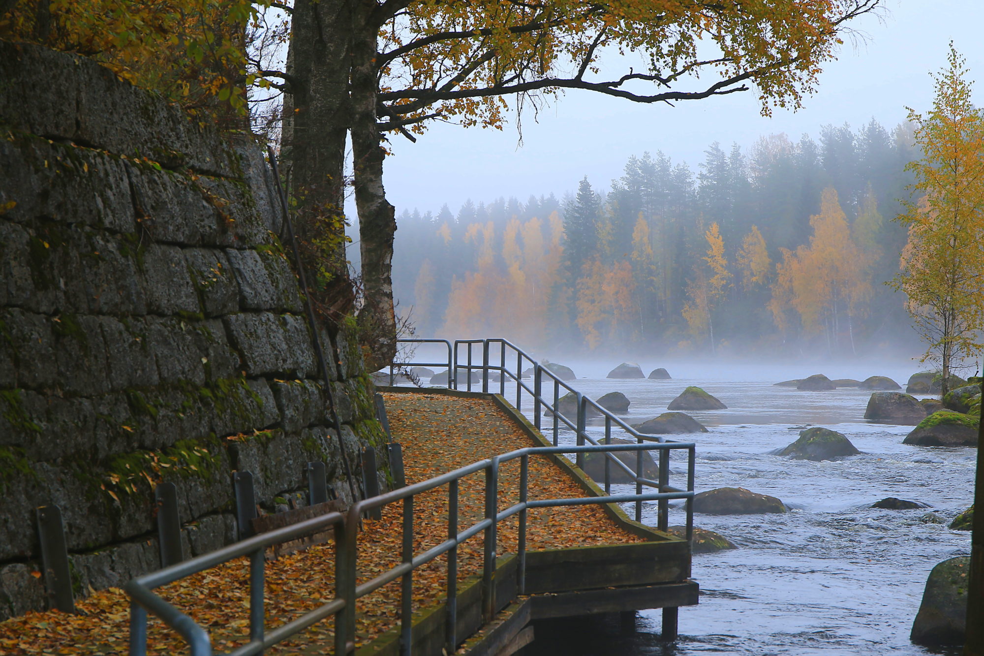 Valokuvaaja: reijo lehtonen Valokuvaaja: reijo lehtonen