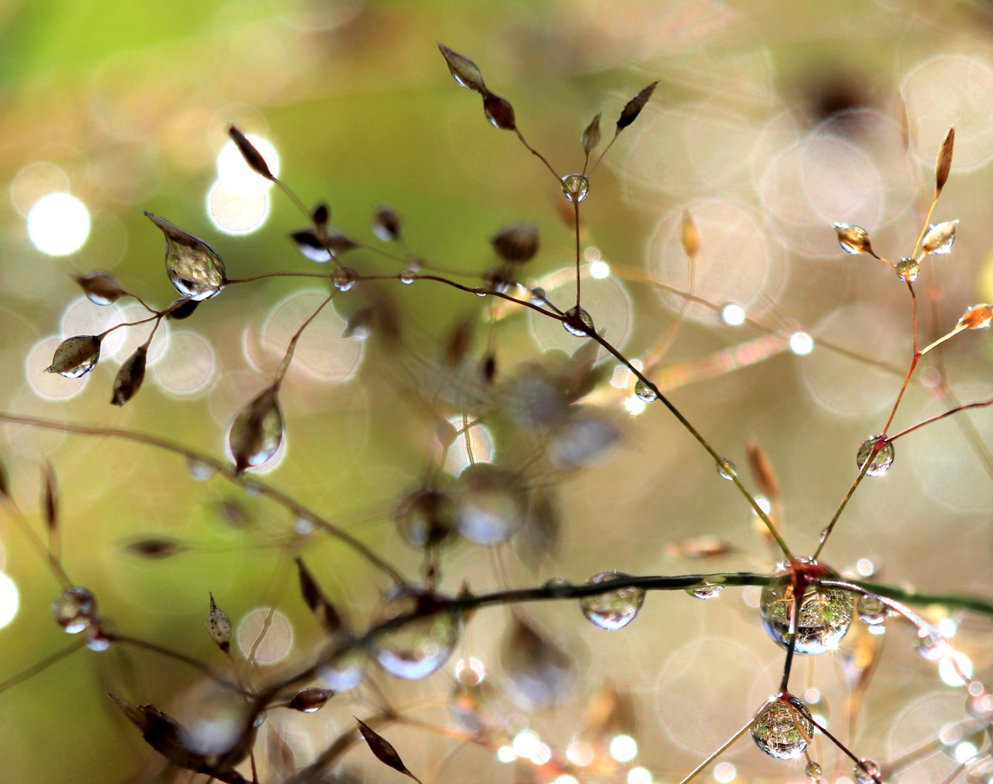 Valokuvaaja: Irja Lehtinen