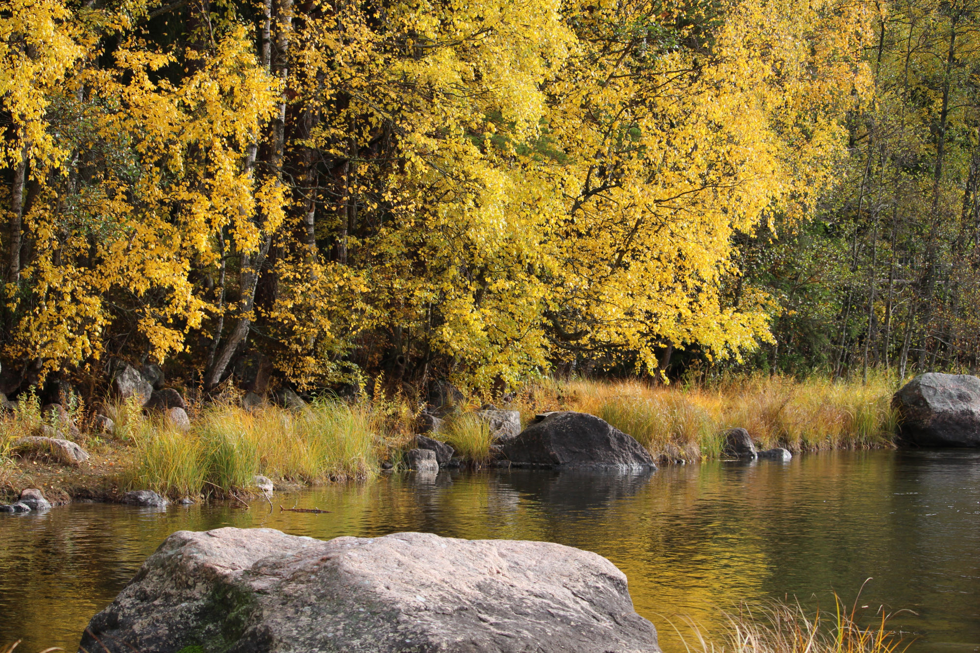 Valokuvaaja: Kirsi-Marja Joenpolvi