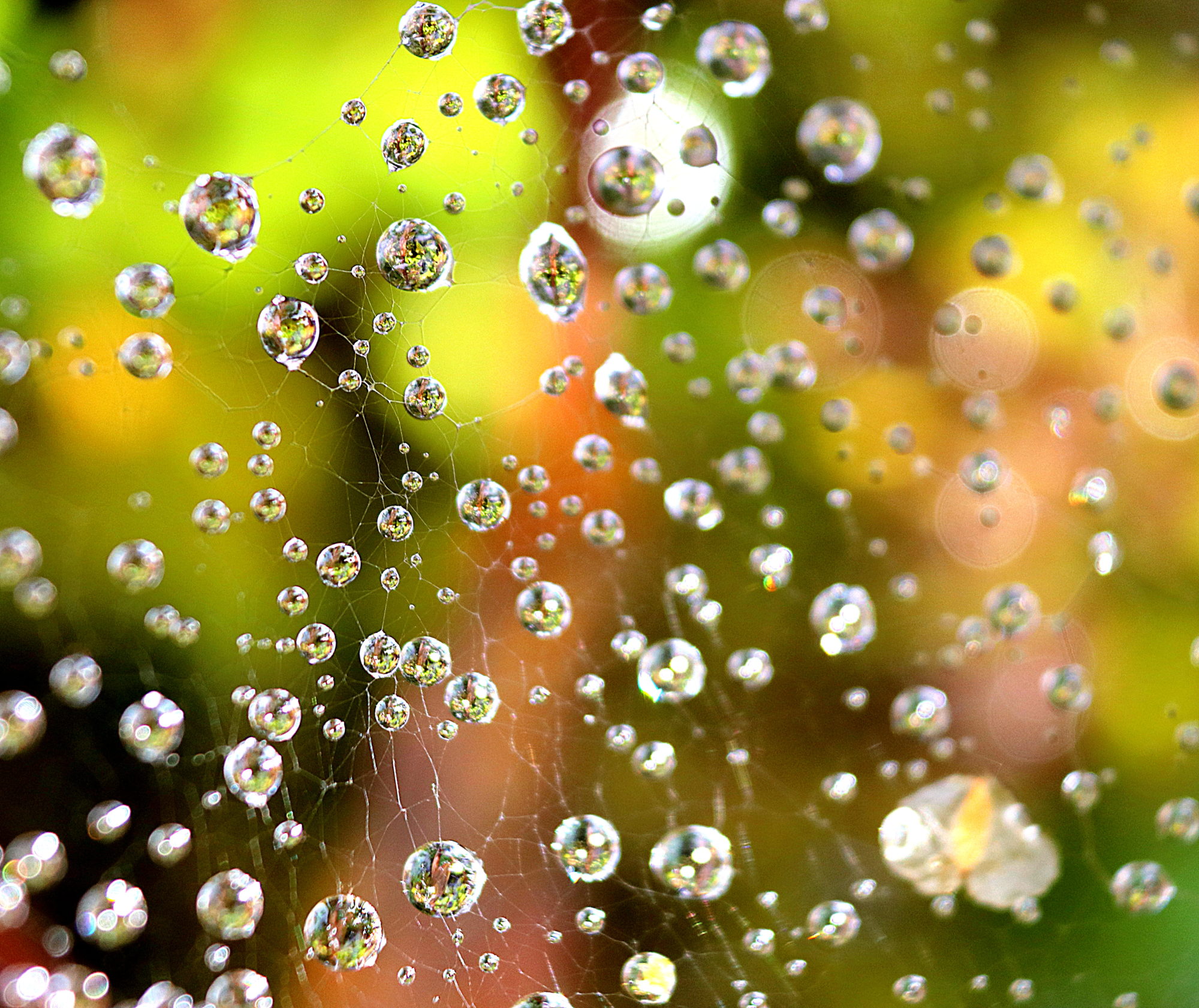 Valokuvaaja: Irja Lehtinen