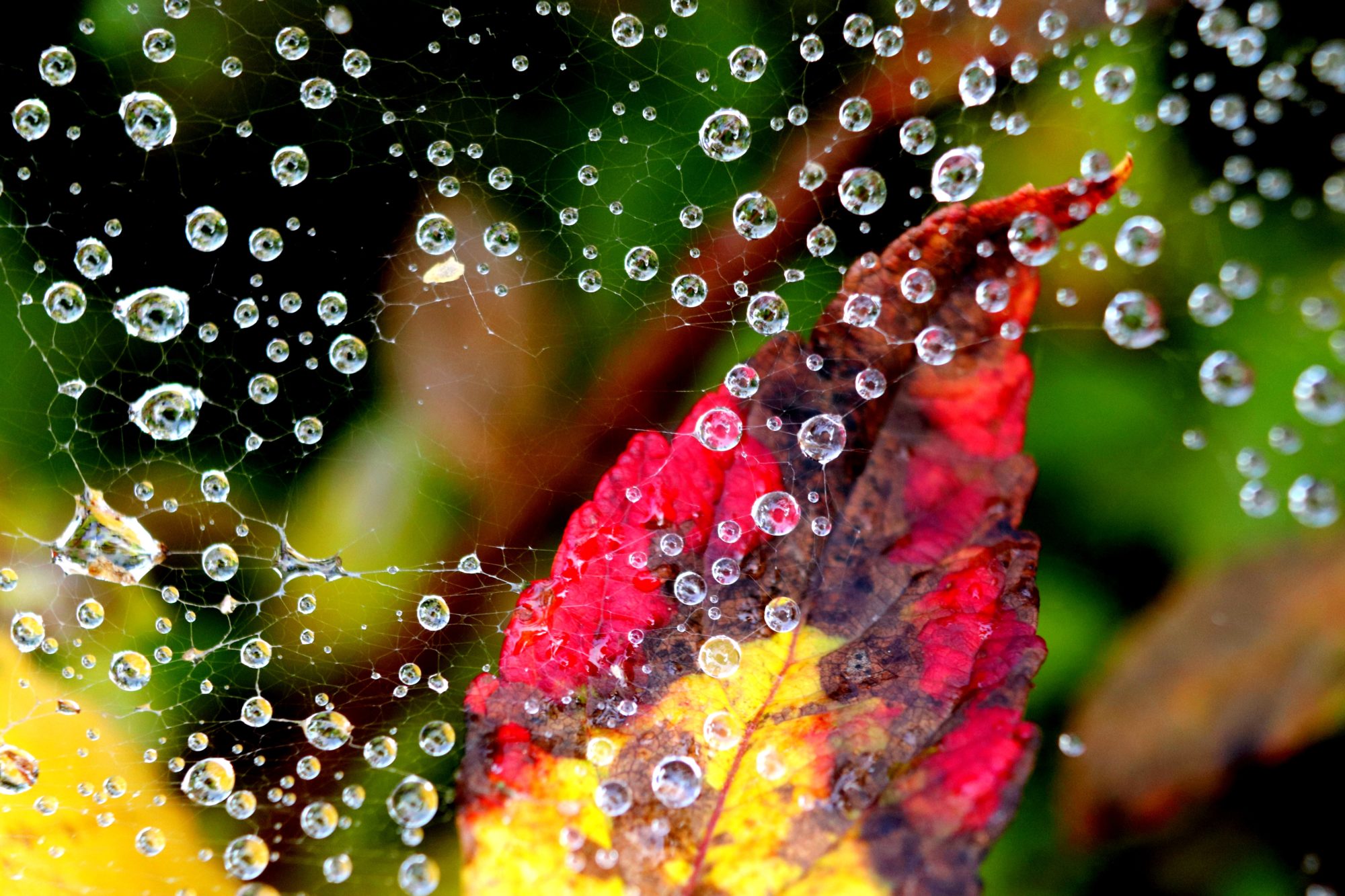 Valokuvaaja: Irja Lehtinen