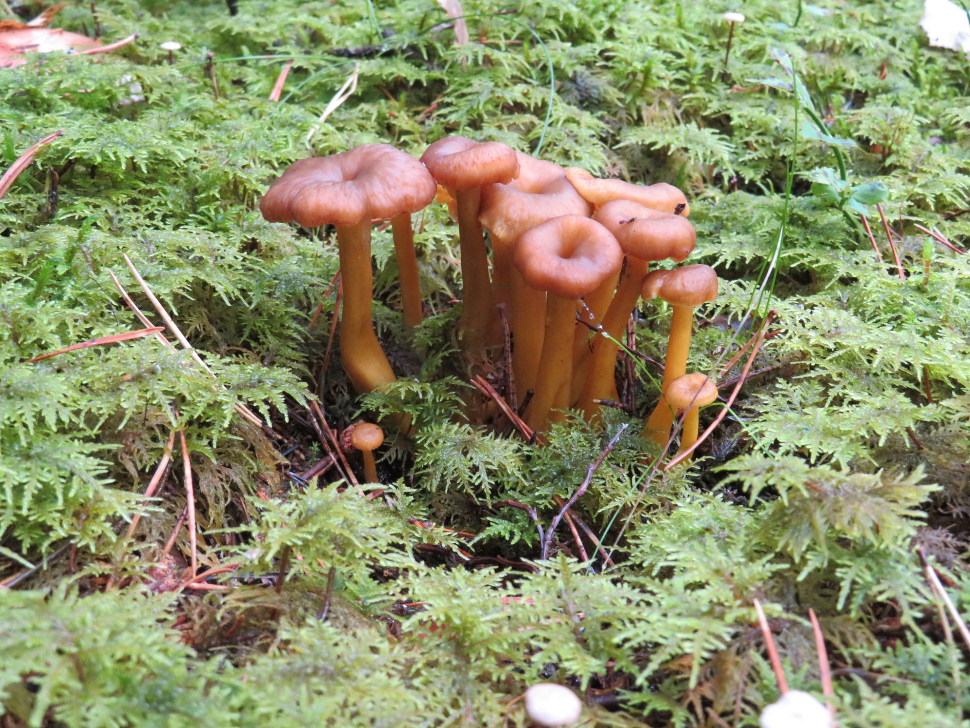 Valokuvaaja: Risto Kangassalo