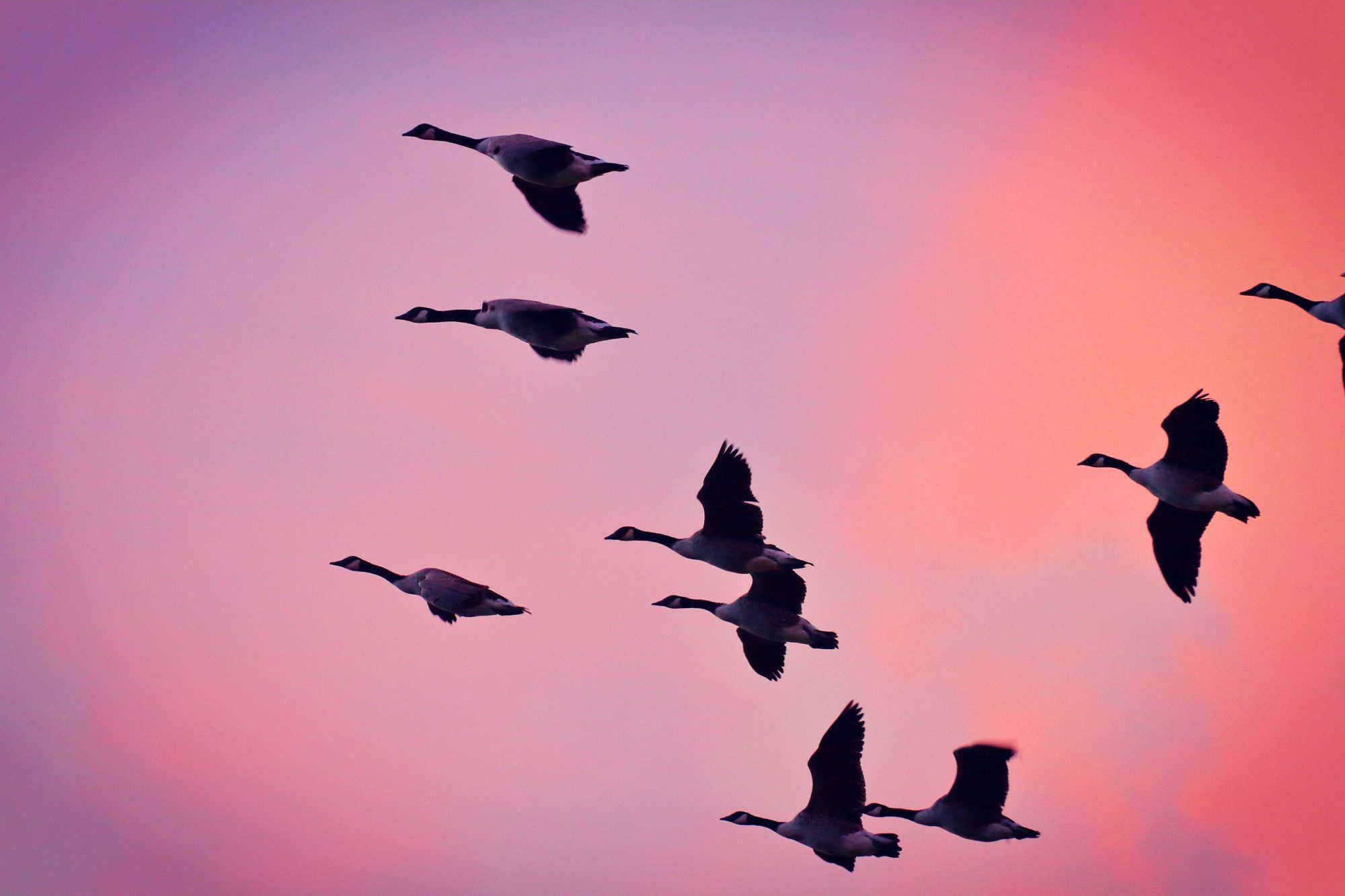 Valokuvaaja: Mariina Saario