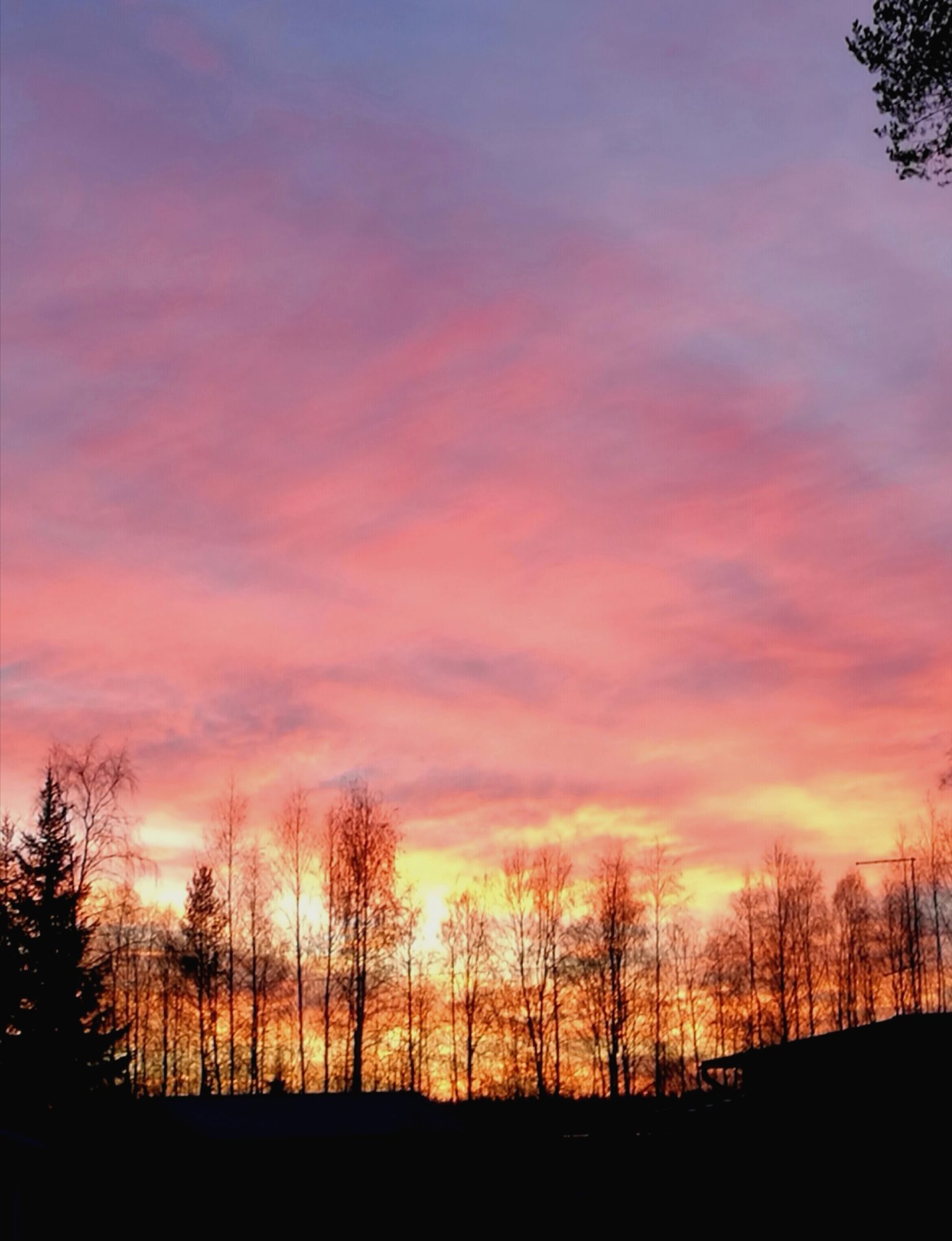 Valokuvaaja: Sirkka Ruotoistenmäki