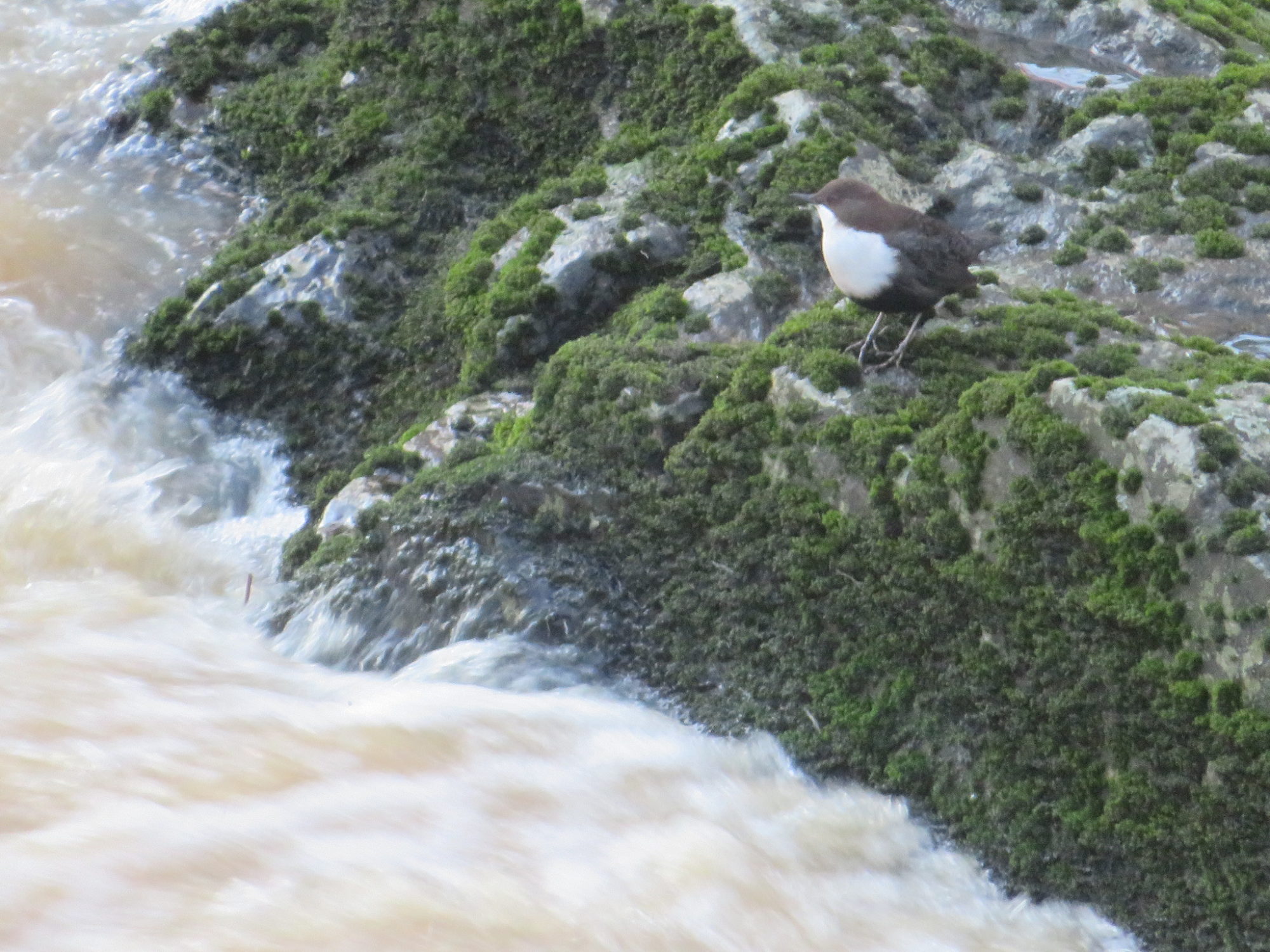 Valokuvaaja: Risto Kangassalo