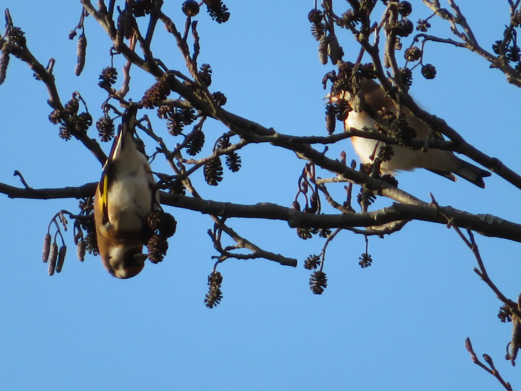 Valokuvaaja: Risto Kangassalo Valokuvaaja: Risto Kangassalo