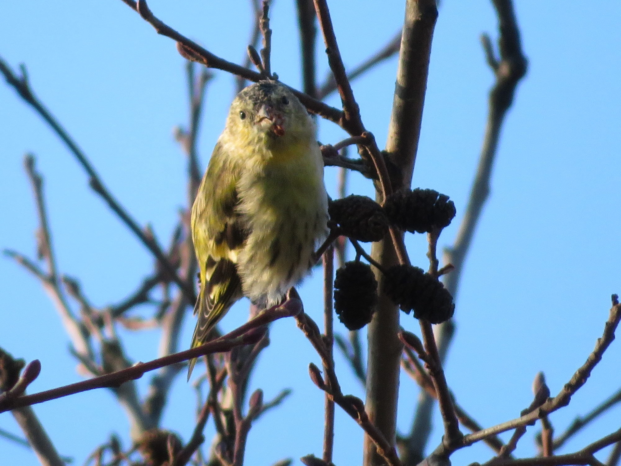 Valokuvaaja: Risto Kangassalo