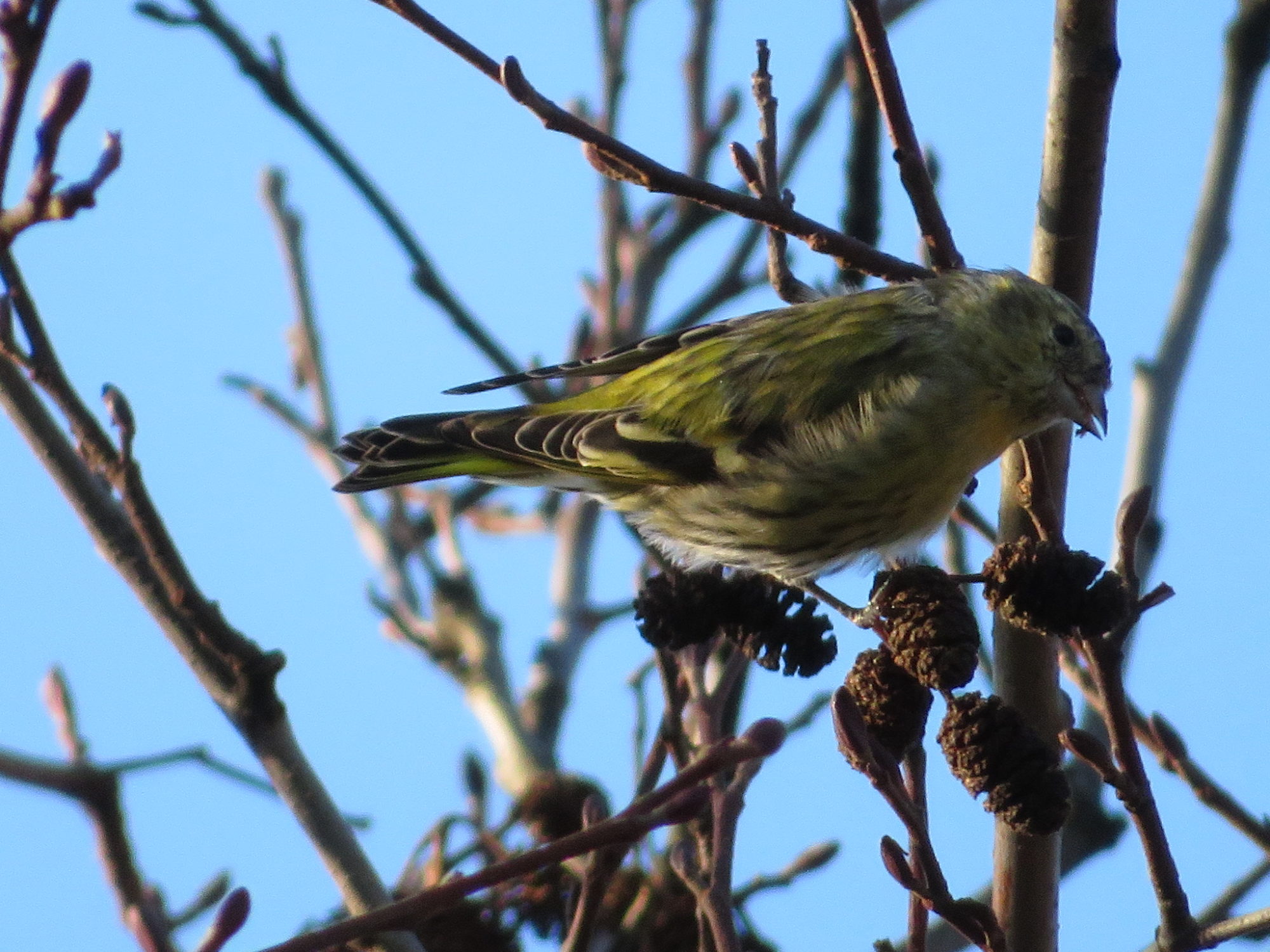 Valokuvaaja: Risto Kangassalo
