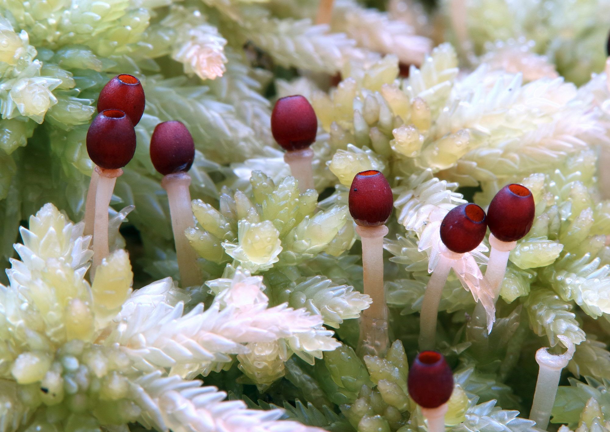 Valokuvaaja: Hannu. Rasiranta