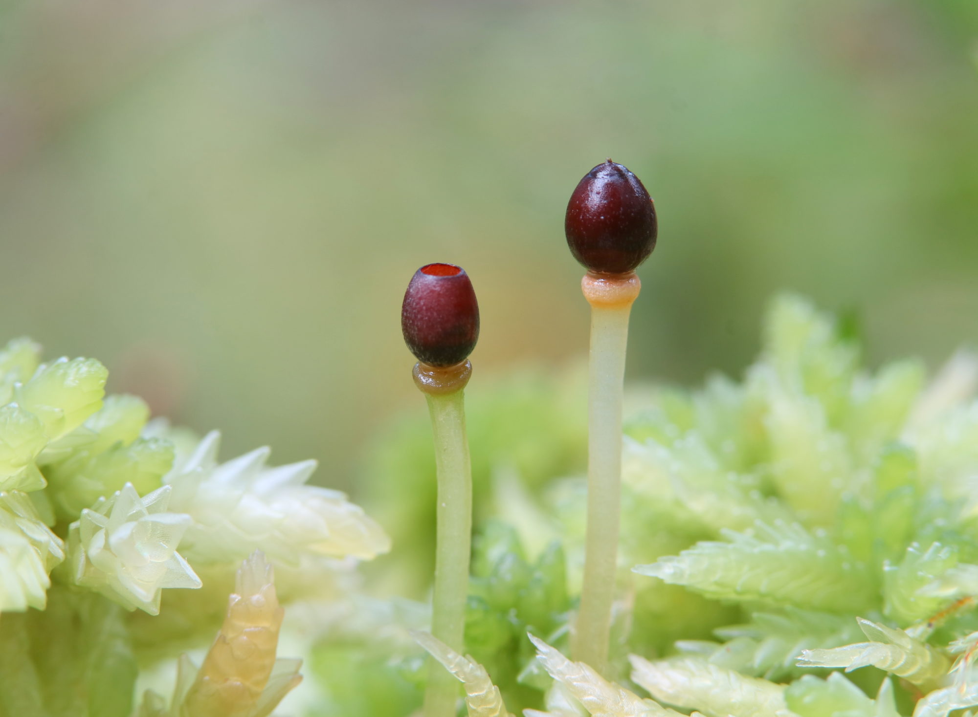 Valokuvaaja: hannu Rasiranta