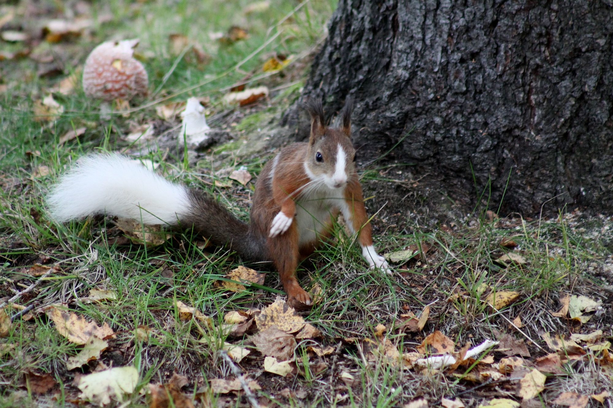 Valokuvaaja: Pirkko Siukonen