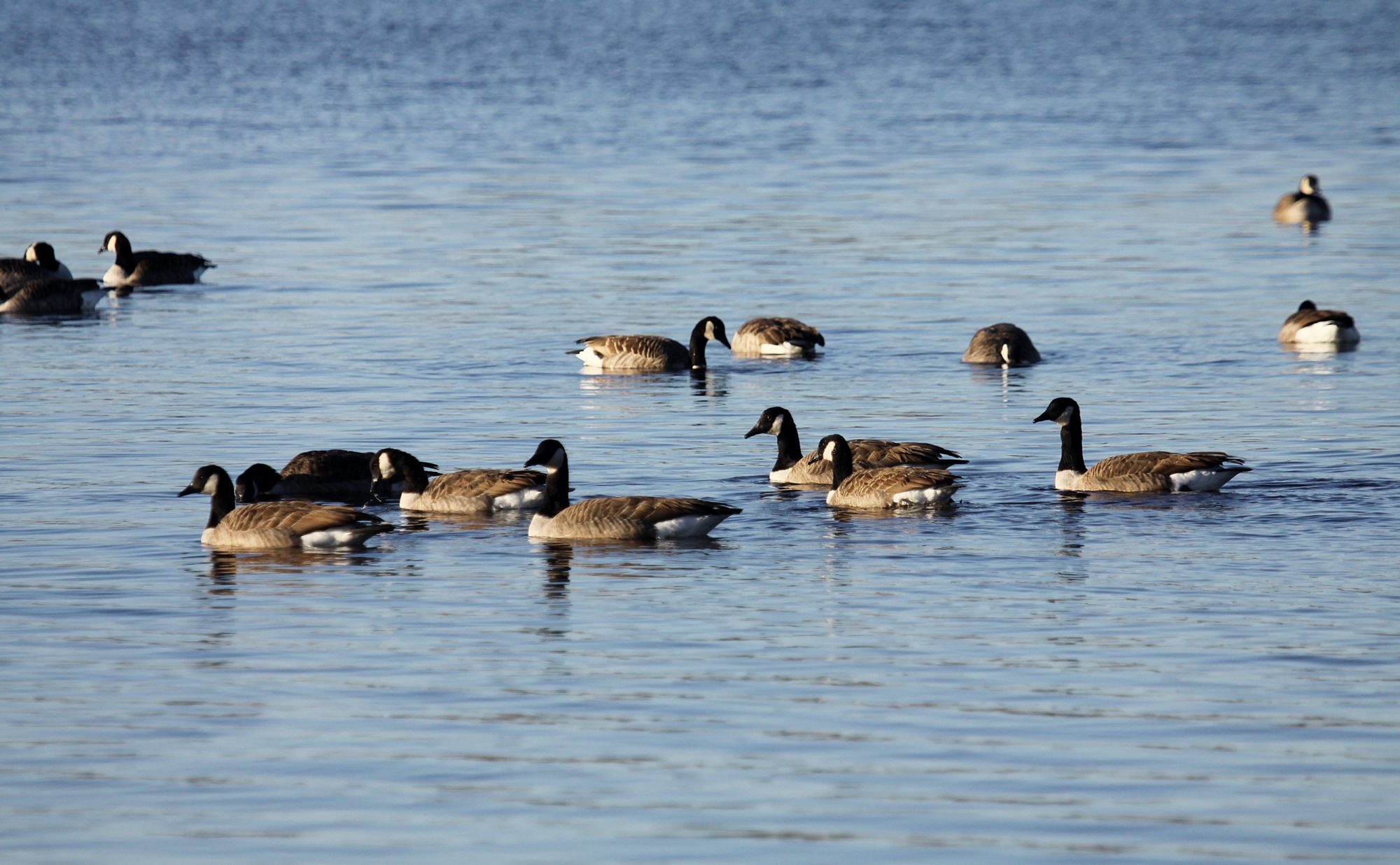 Valokuvaaja: Pirkko Siukonen
