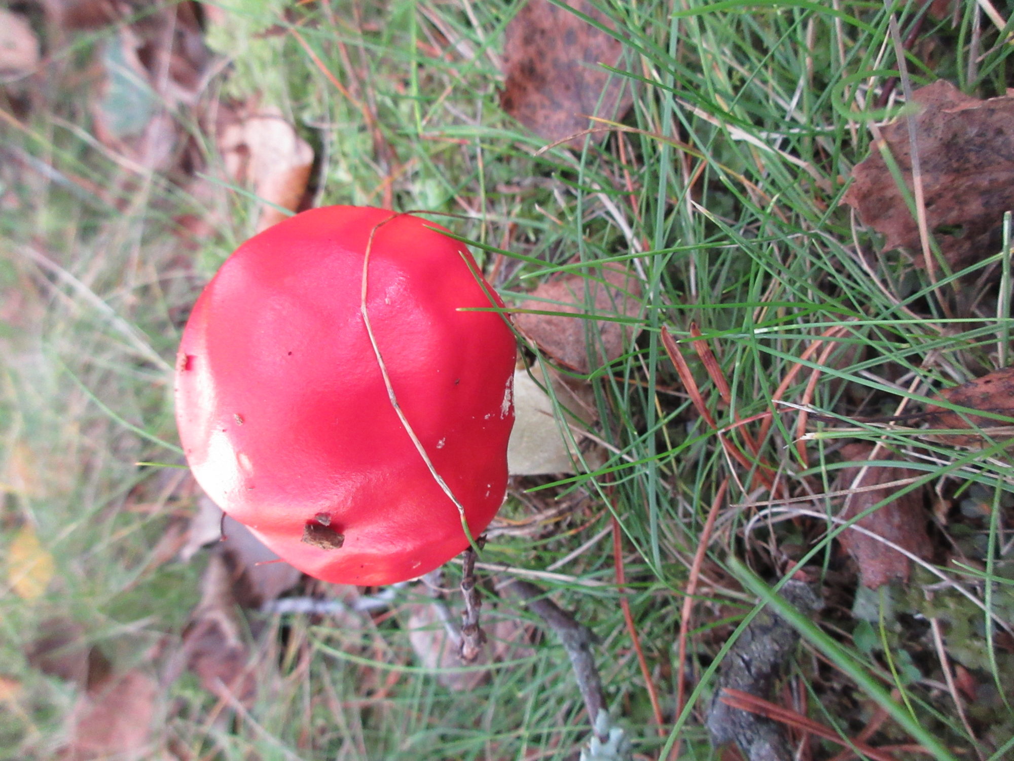 Valokuvaaja: Terttu Rantanen