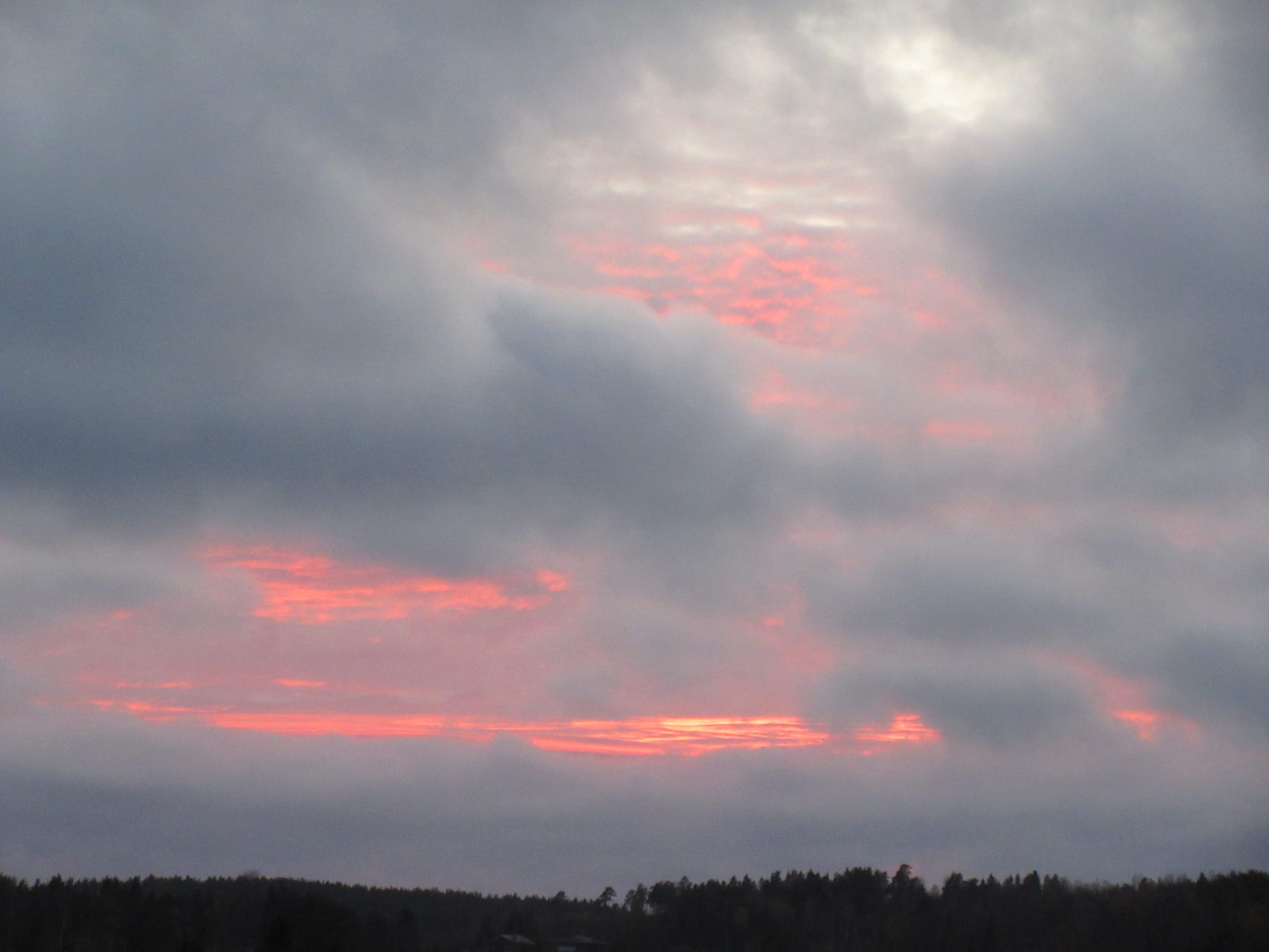 Valokuvaaja: Terttu Rantanen