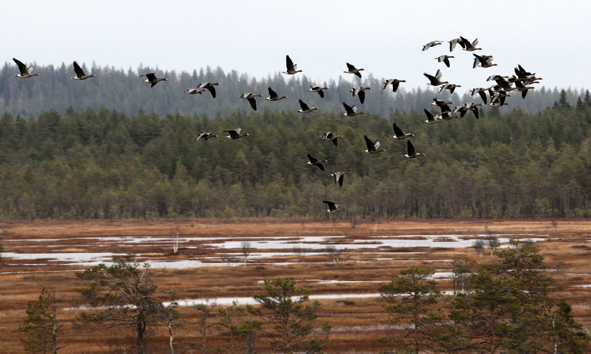 Valokuvaaja: Ahti Keränen