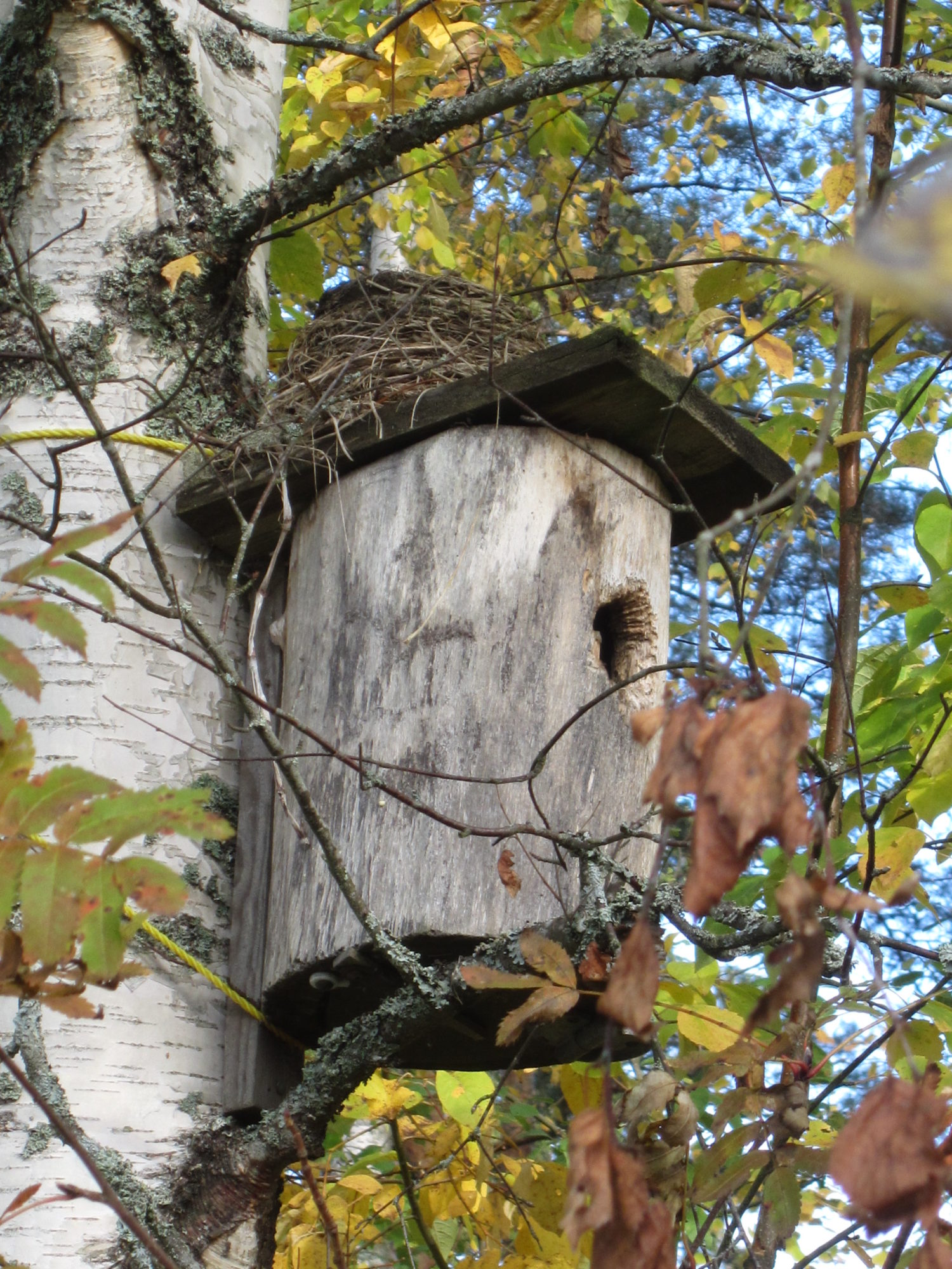 Valokuvaaja: Marita Portin